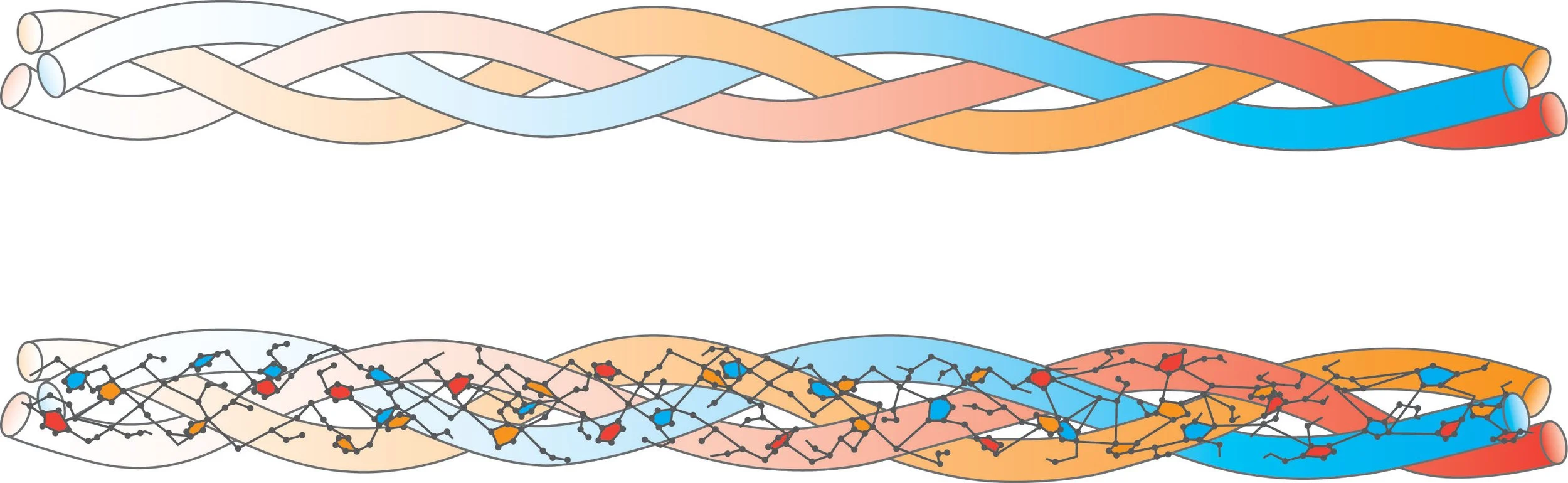 Collagen Trimmer Final RGB.jpg