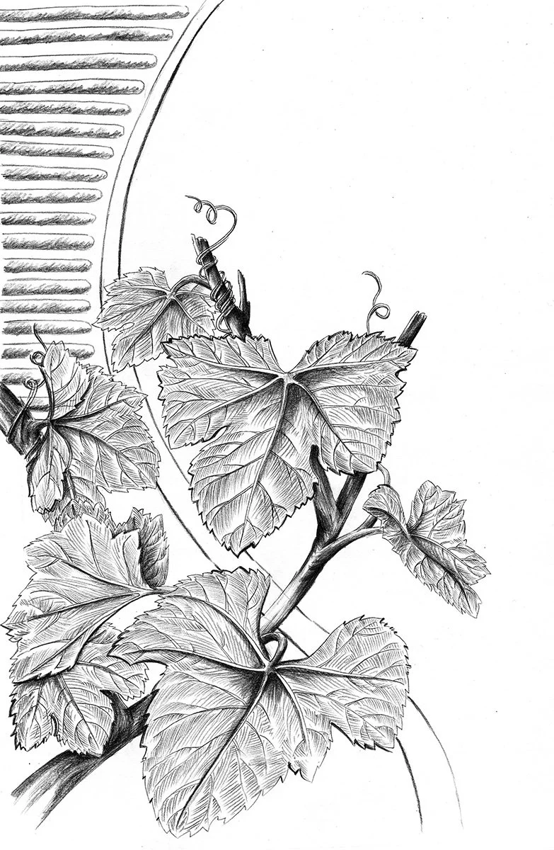 Vineyard Road 1200dpi.jpg