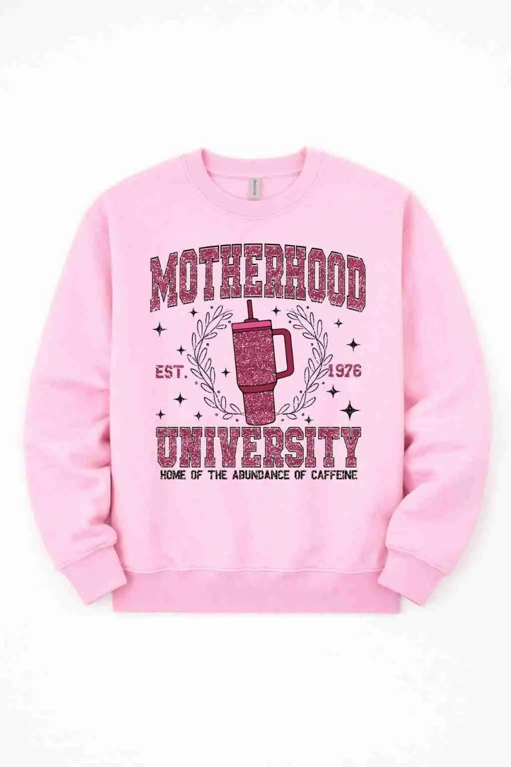 Motherhood University Sweater