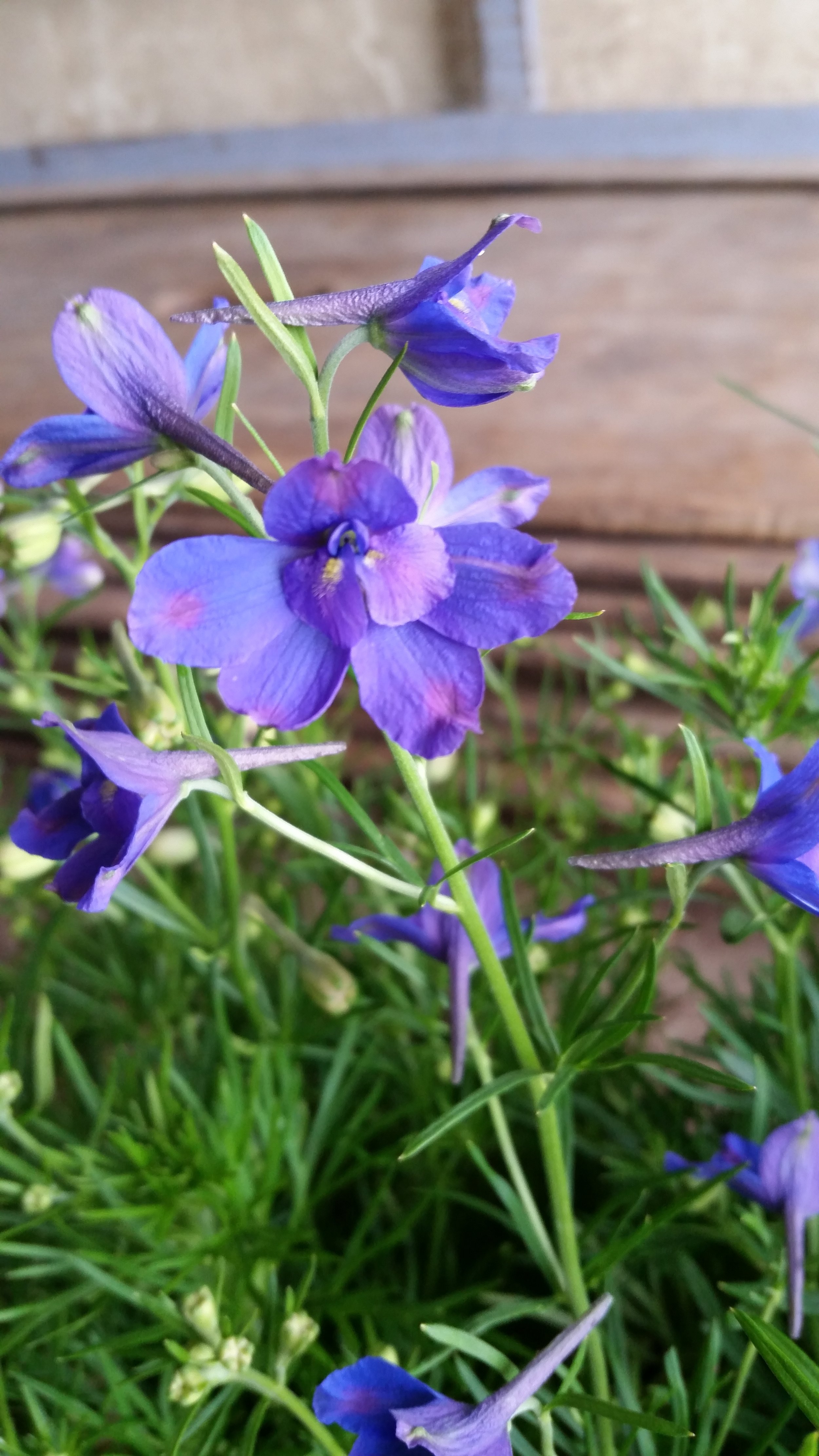 20160518_114608.jpg