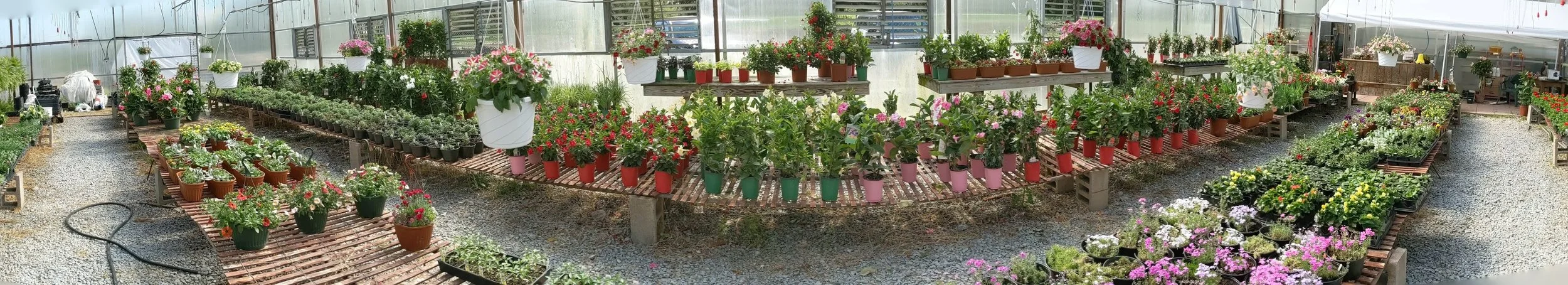 PANO_20190427_155523.vr.jpg
