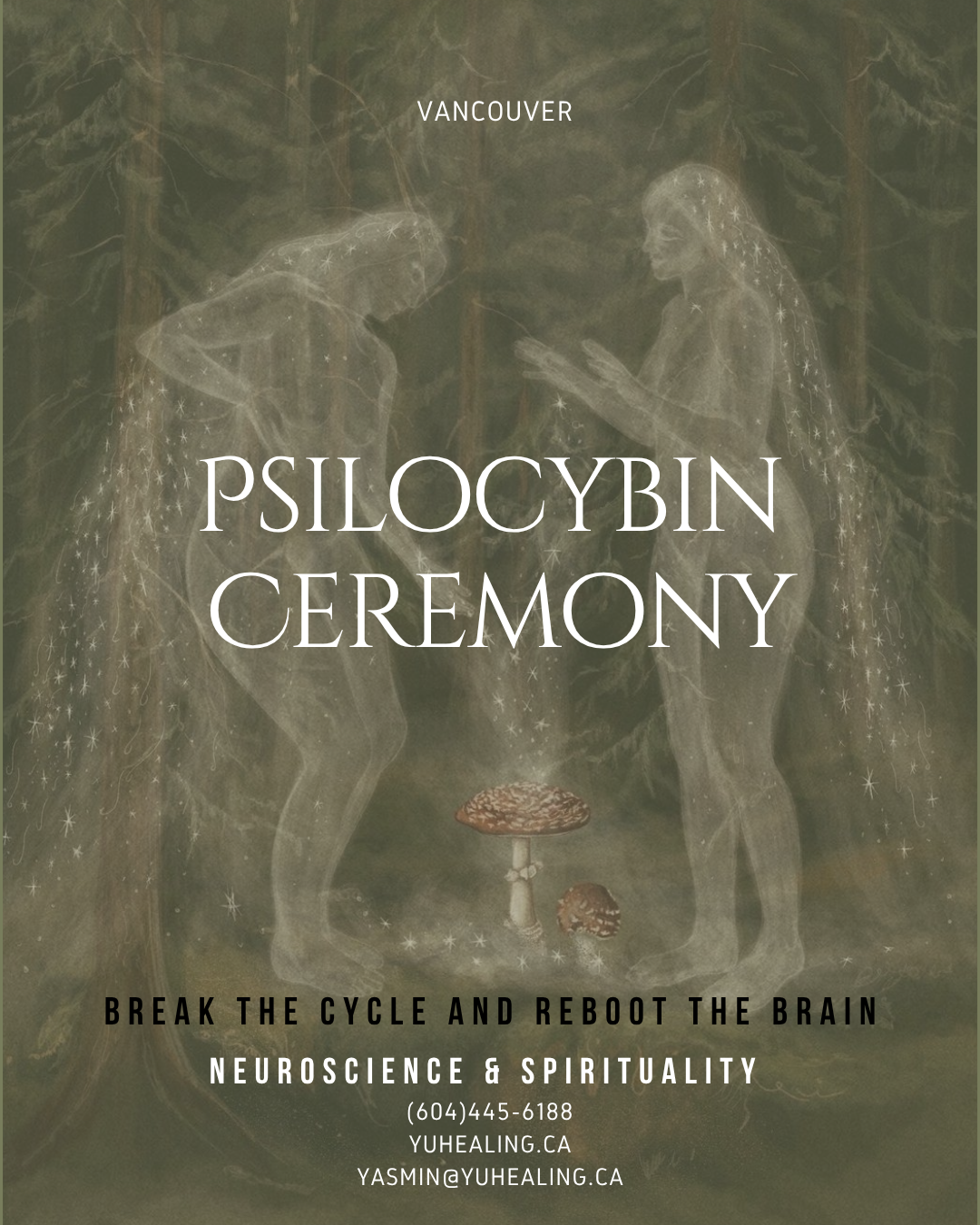Psilocybin group ceremony - Reboot the brain. Remember who you are. 