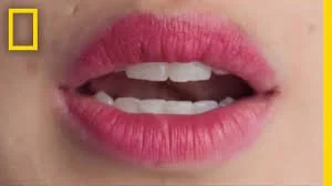 Close-up of lips.