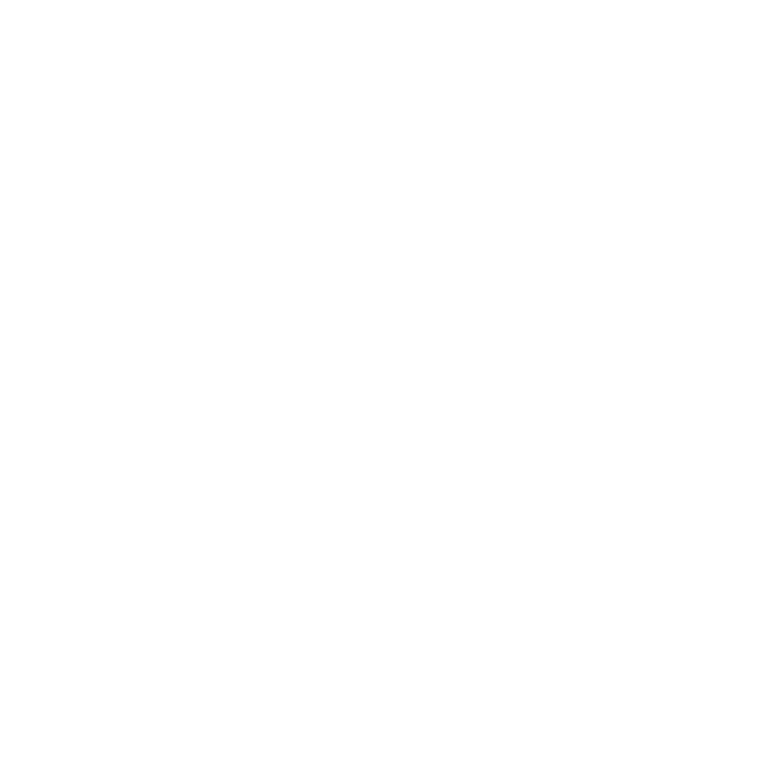 revelry_Brandmark_SmallSize_white.png