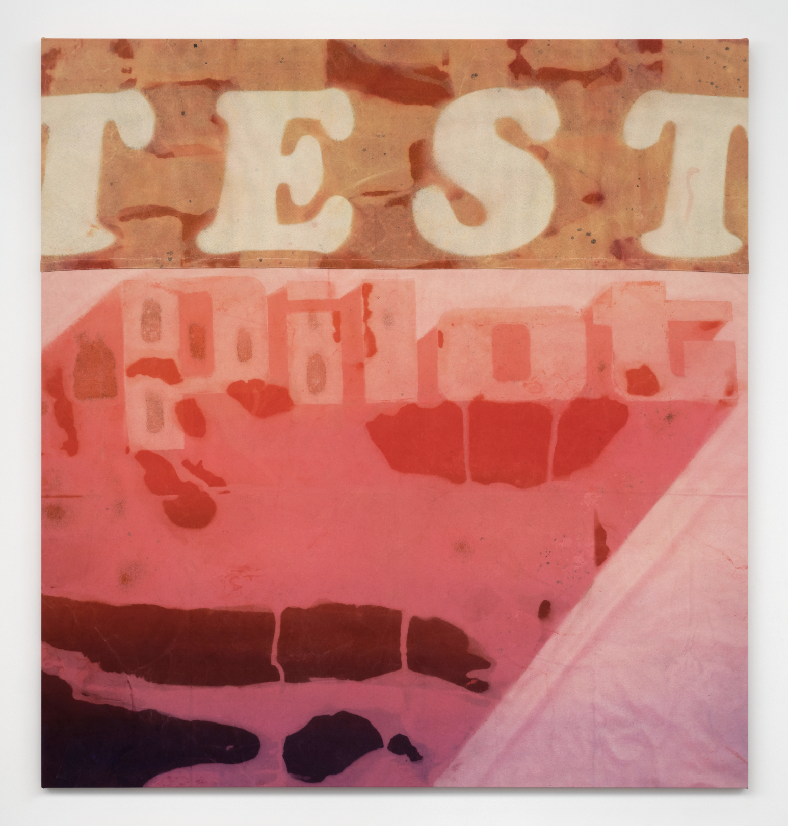 Chuck Yeager (TEST Pilot), 2026 Dye and microbial staining on canvas, nylon thread, weathered and laundered 108 x 102 in 274.3 x 259.1 cm