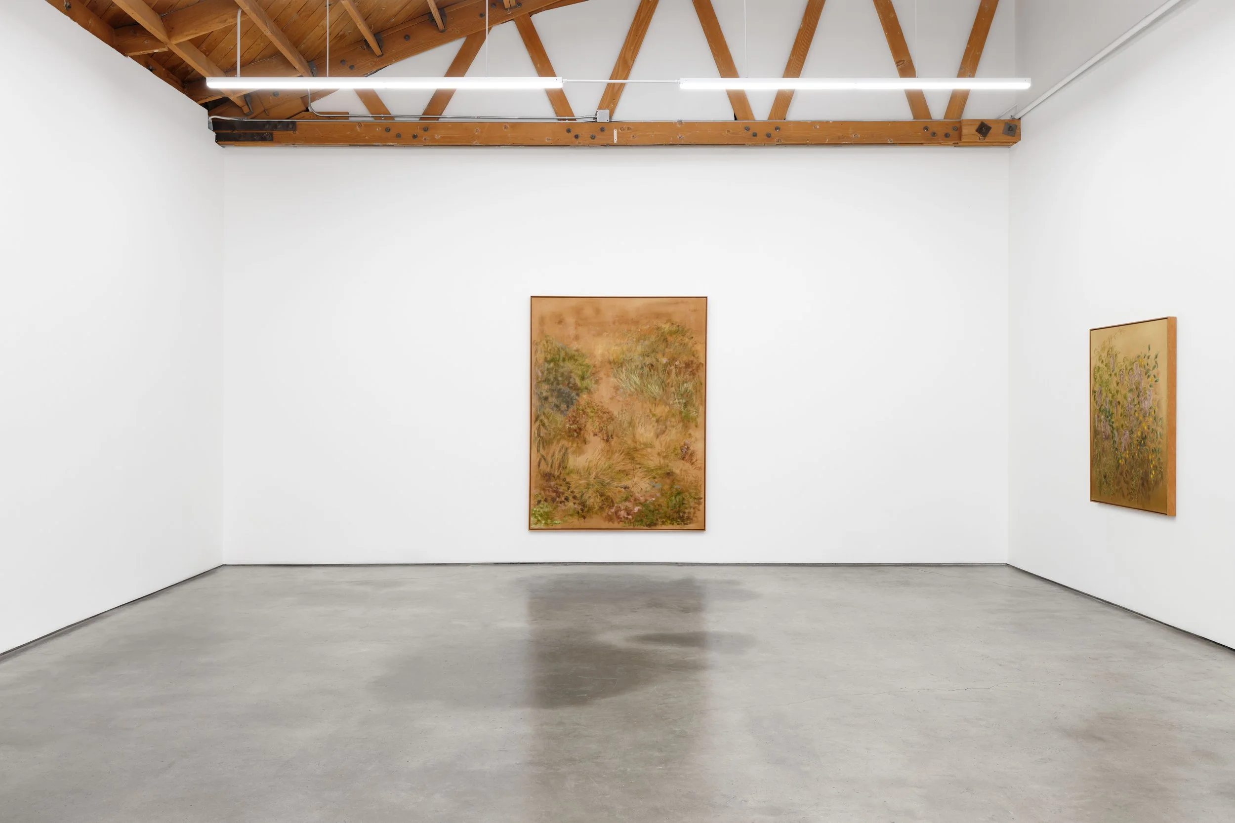 Kate Zimmerman Turpin
 The Light the Ground Gives 
February 24 – March 28, 2026