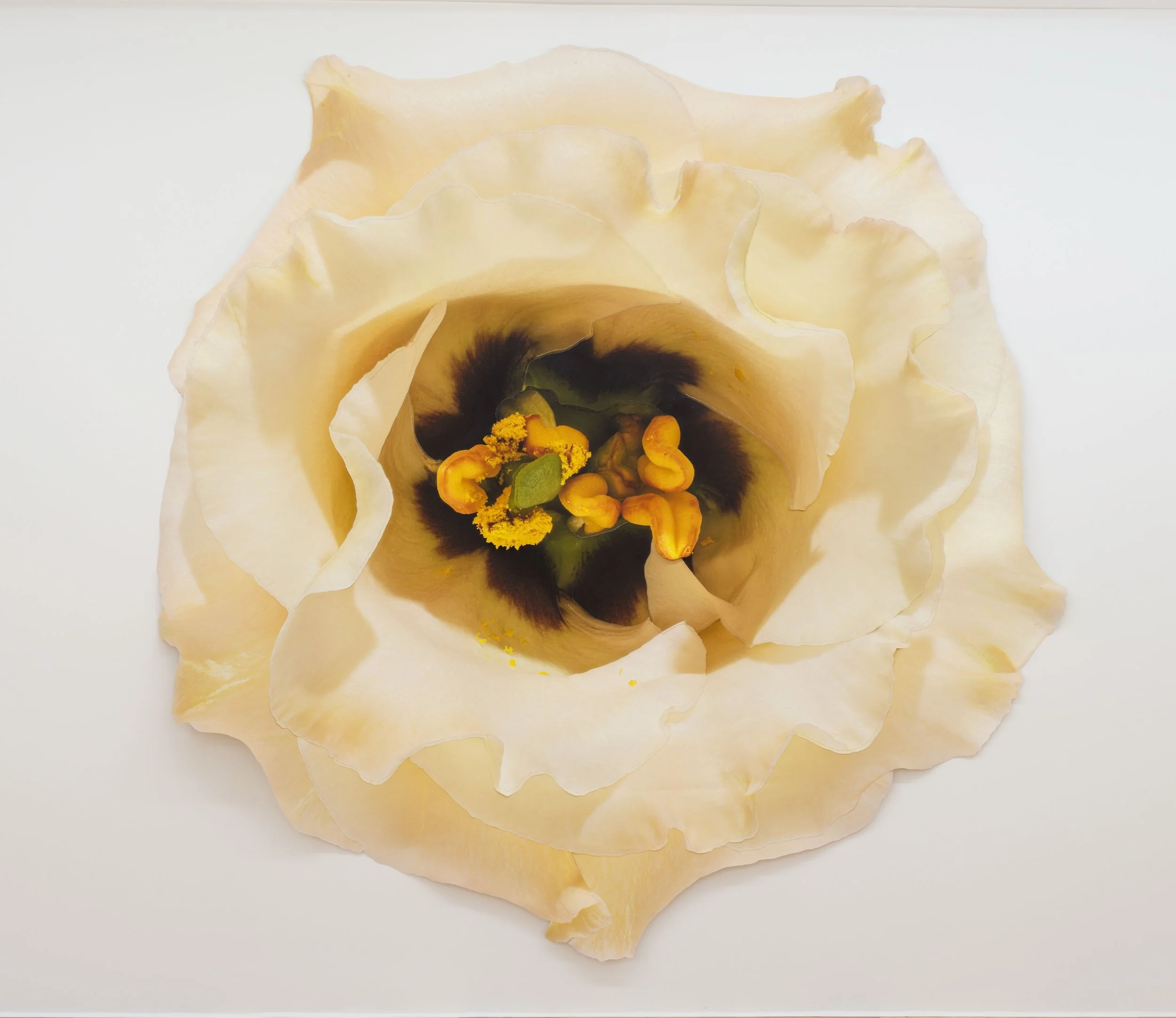 Cream Lisianthus, 2023 Pigment print on canvas, colored pencil, waxed thread 120 x 121 in 304.8 x 307.3 cm