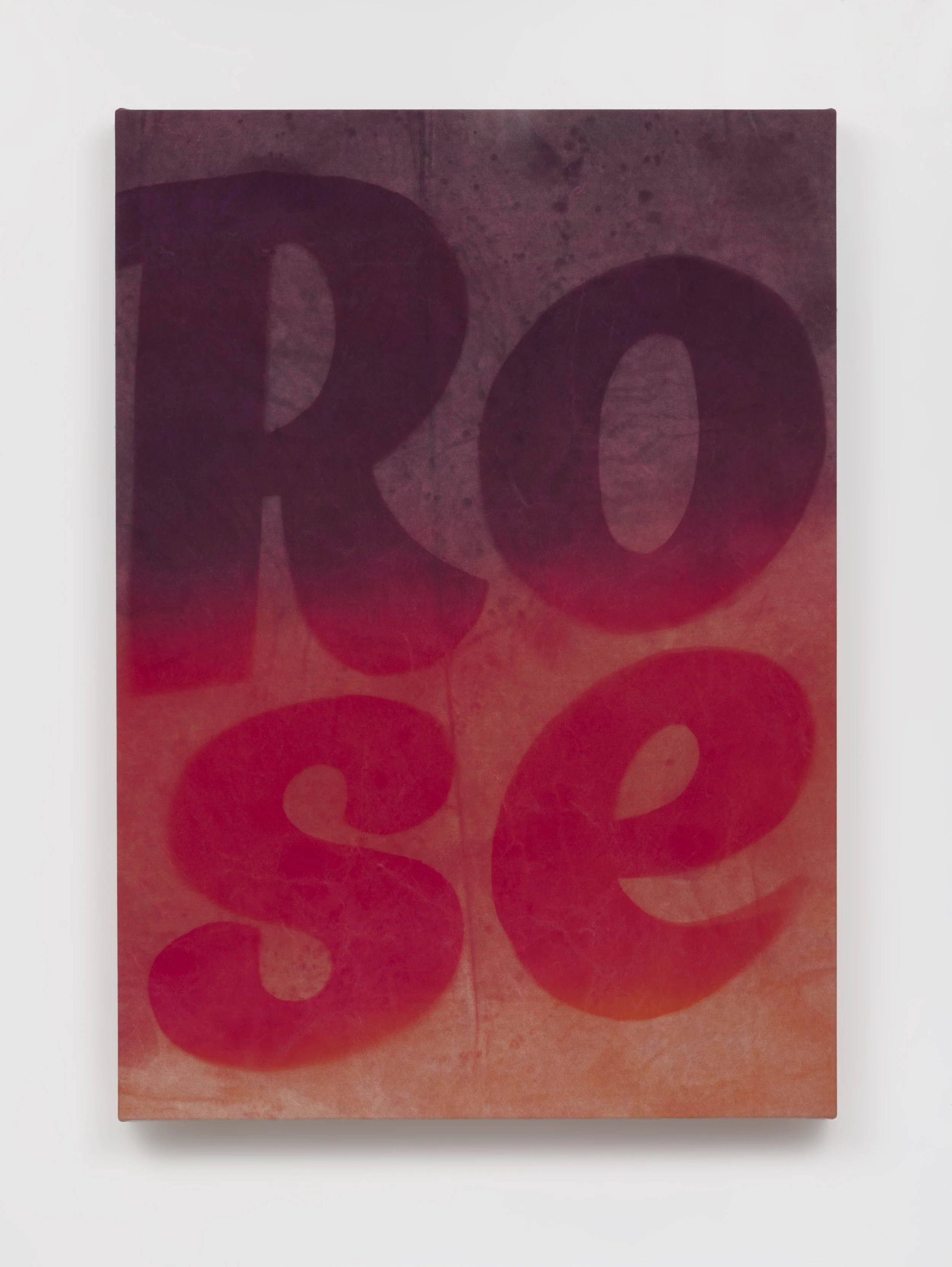 Nicolas Shake, Rose (dark to light gradient), 2024 Dye on canvas weathered and laundered 40 x 32 x 2 in 101.6 x 81.3 x 5.1 cm (NSH25.028)