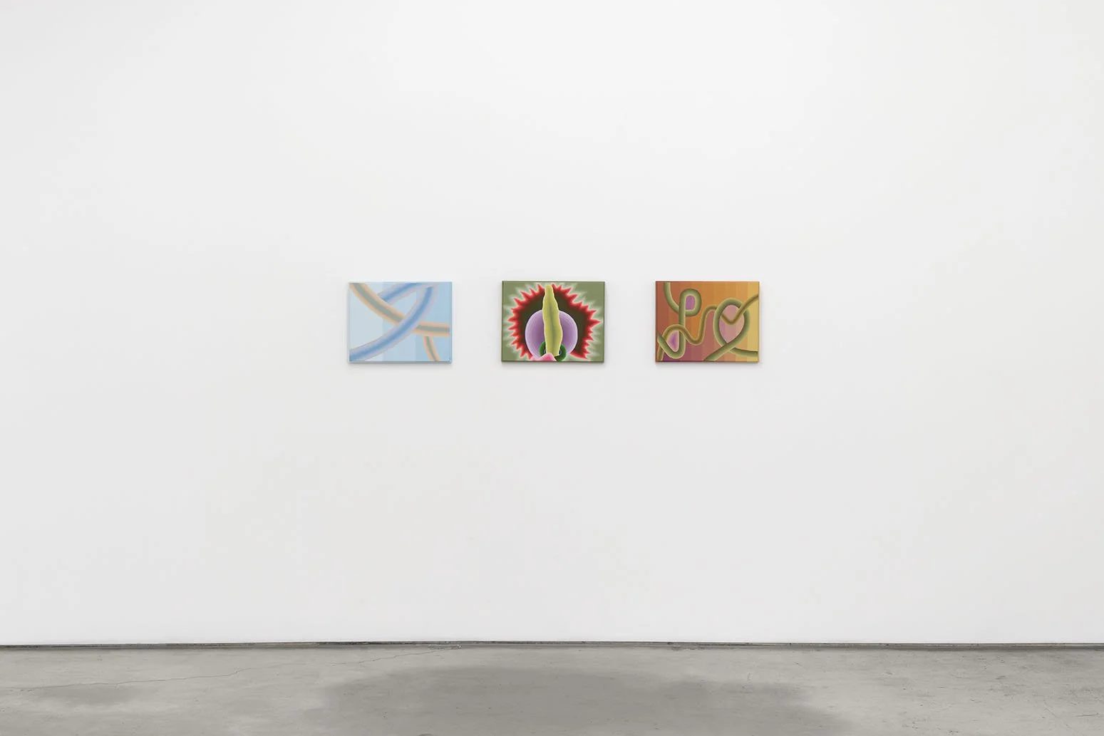 Annie Pendergrast
 Taut 
January 10 – February 14, 2026