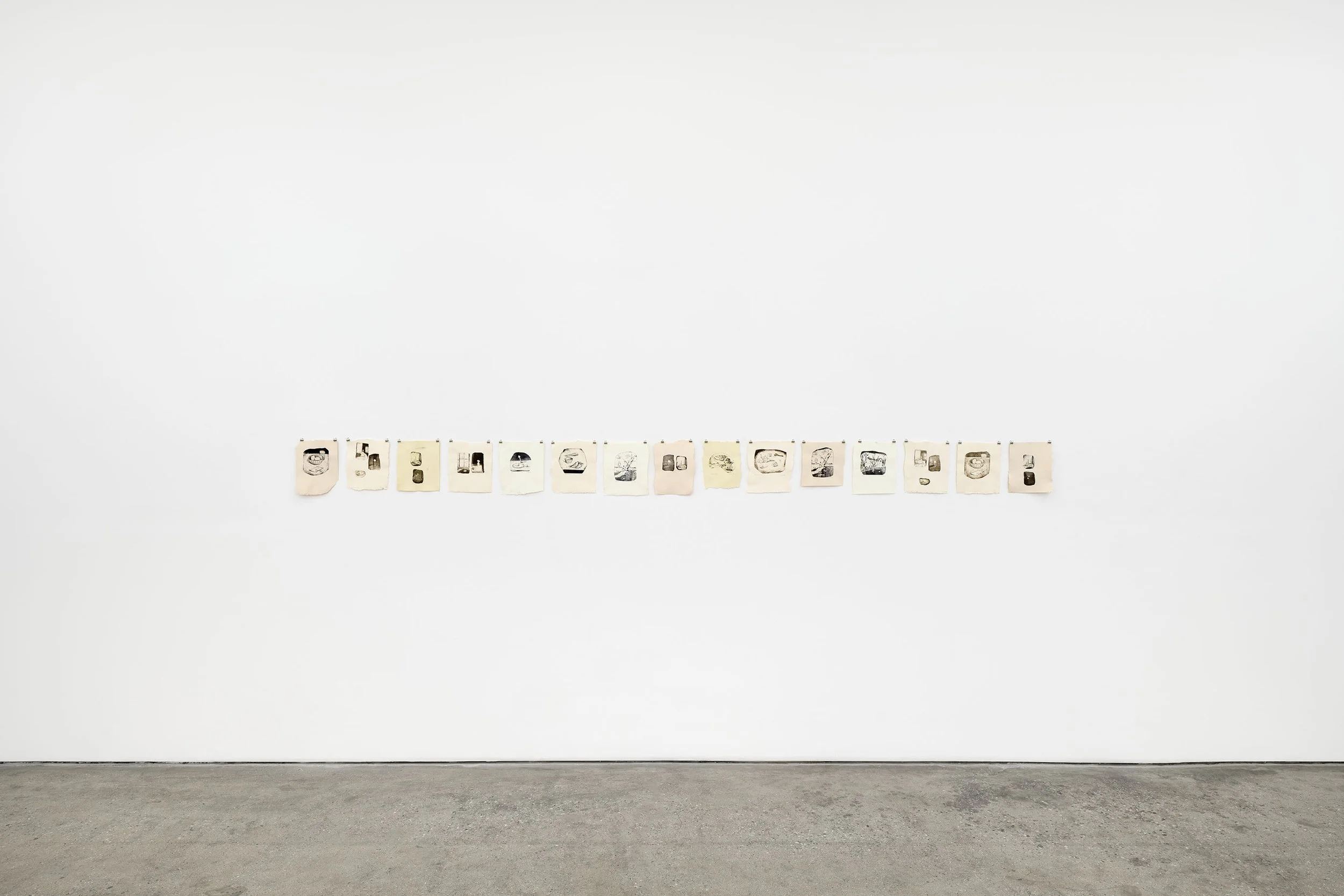 TJ Rinoski2026_04_02_MULROONEY100207.jpg