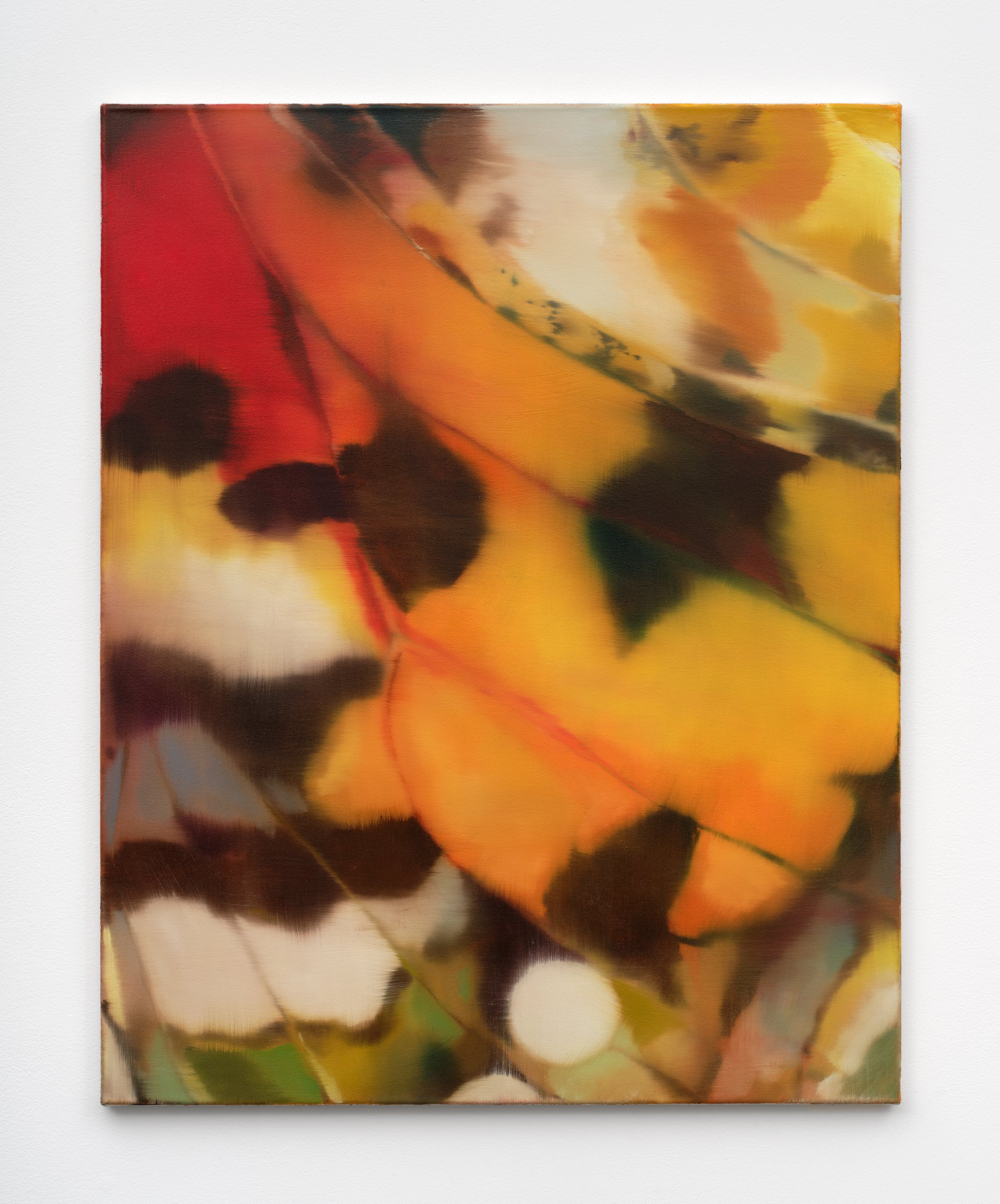 Imogen Allen Untitled, 2025 Oil on canvas 39 3/8 x 31 1/2 in 100 x 80 cm (IA26.003) Imogen Allen Untitled, 2025