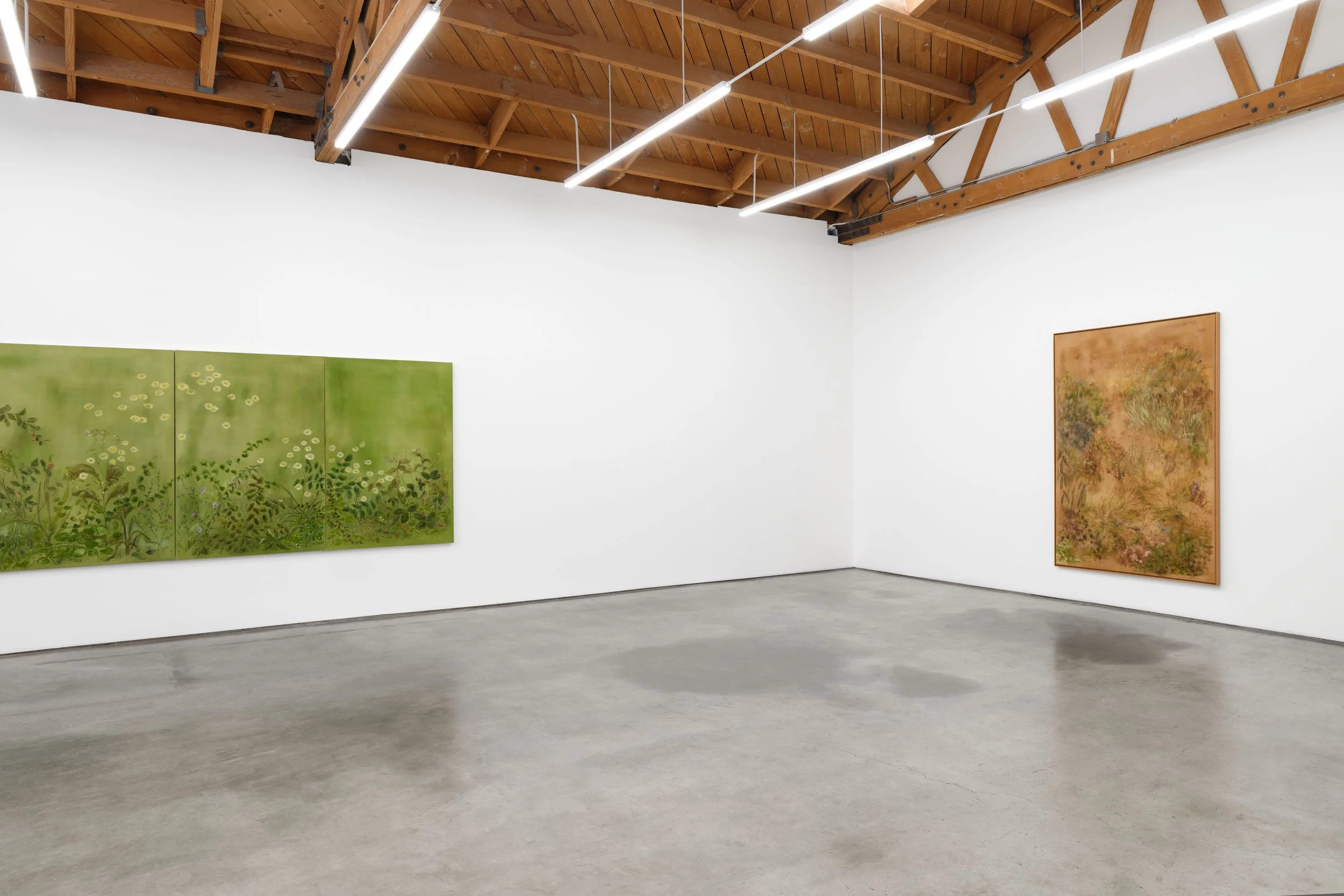 Kate Zimmerman Turpin
 The Light the Ground Gives 
February 24 – March 28, 2026