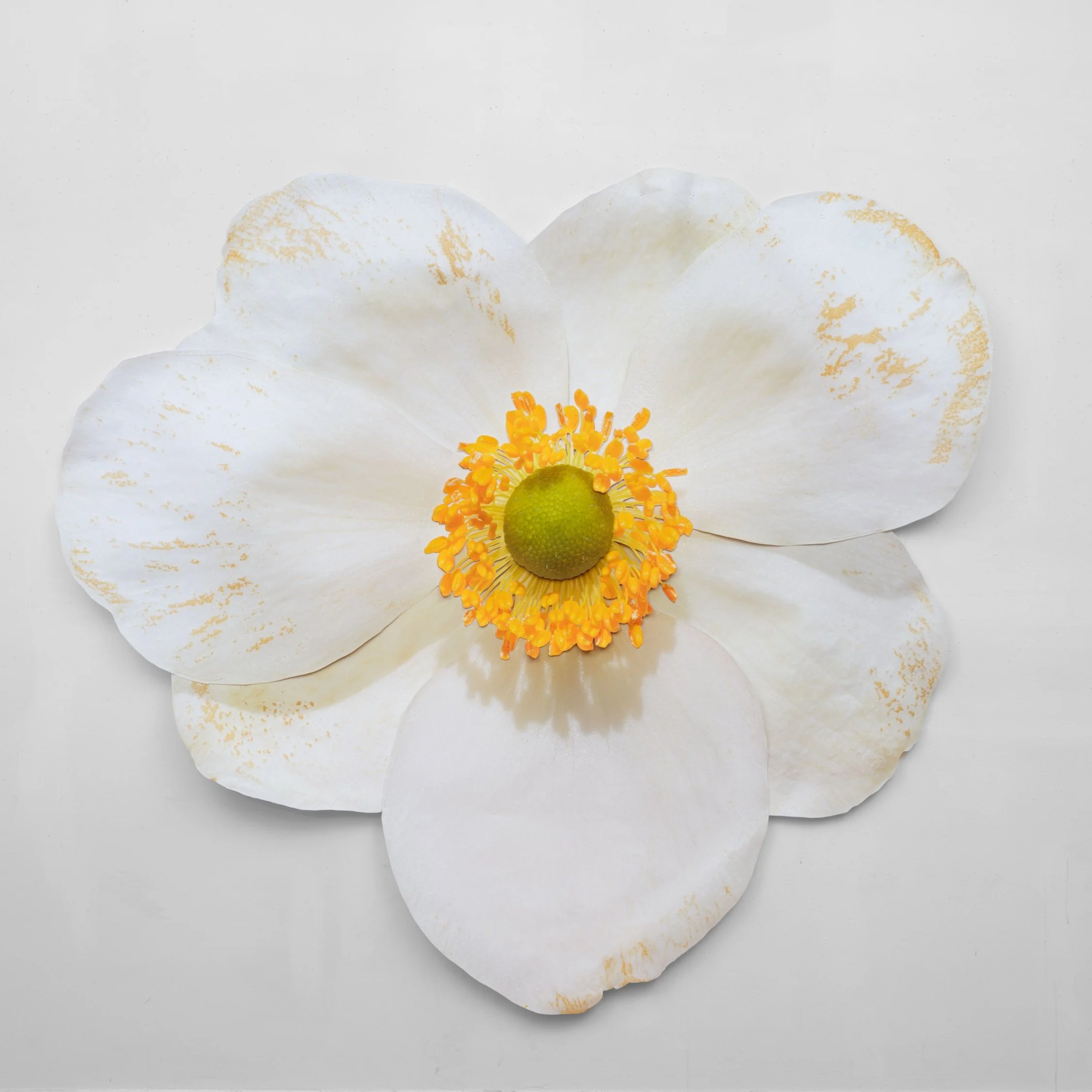 Benjamin Langford White Anemone, 2025 Archival inkjet print on canvas, acrylic, colored pencil, waxed thread 70 x 77 in 177.8 x 195.6 cm (BLA25.004)