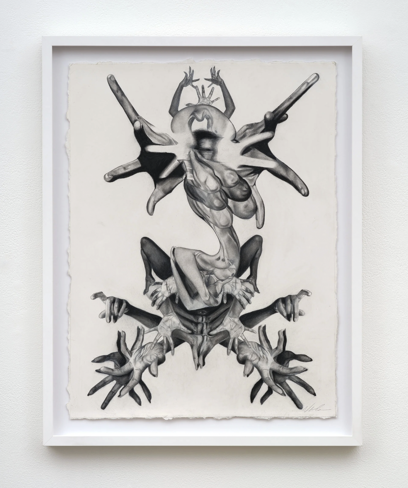 Victoria Cassinova Scar Tissue, 2026 Graphite and charcoal on paper 24 x 18 in 61 x 45.7 cm (VIC26.001)