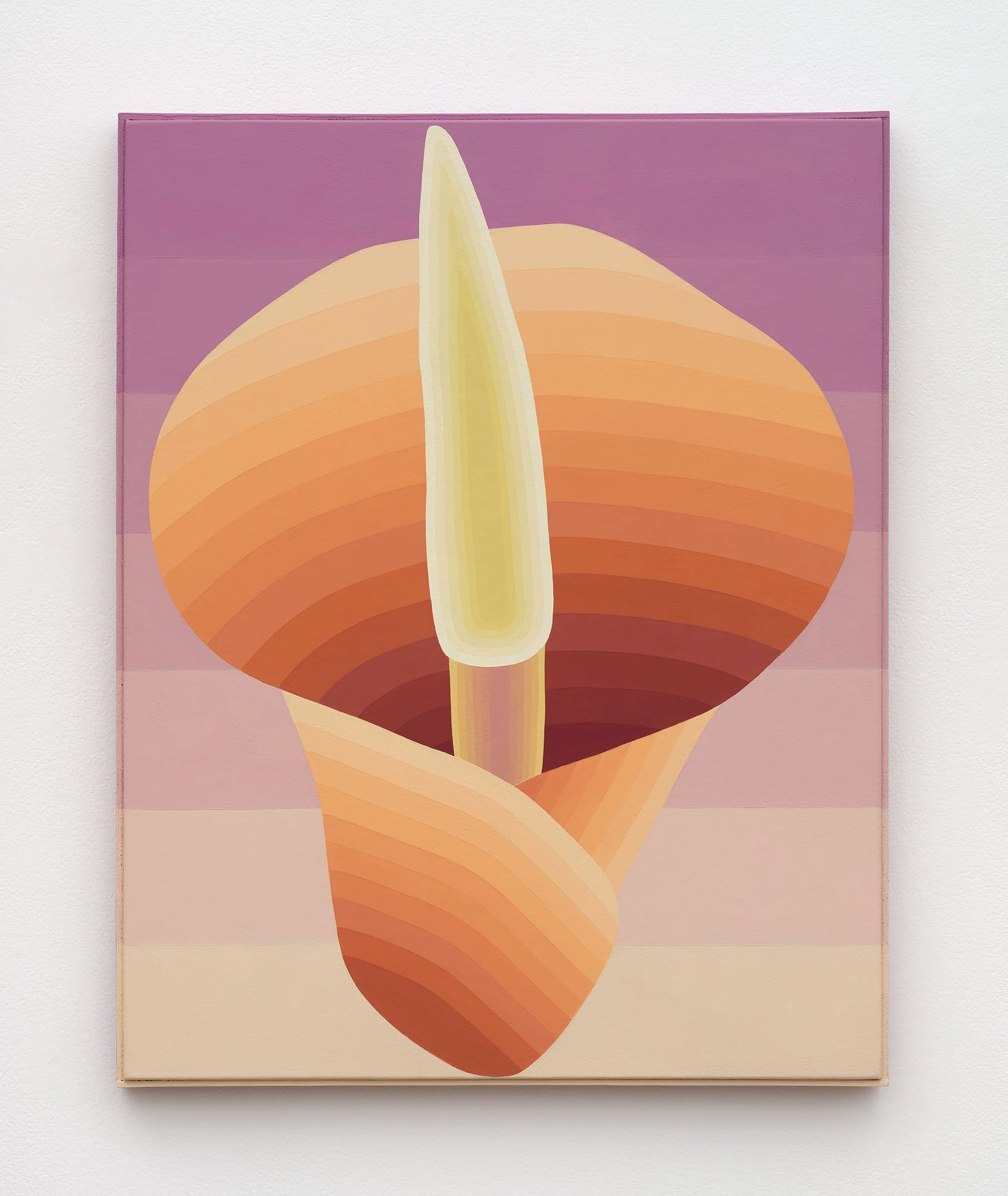 Annie Pendergrast
 Voodoo Lily , 2025
Flashe on canvas with artist frame
28 x 22 in
71.1 x 55.9 cm
(APE25.009)