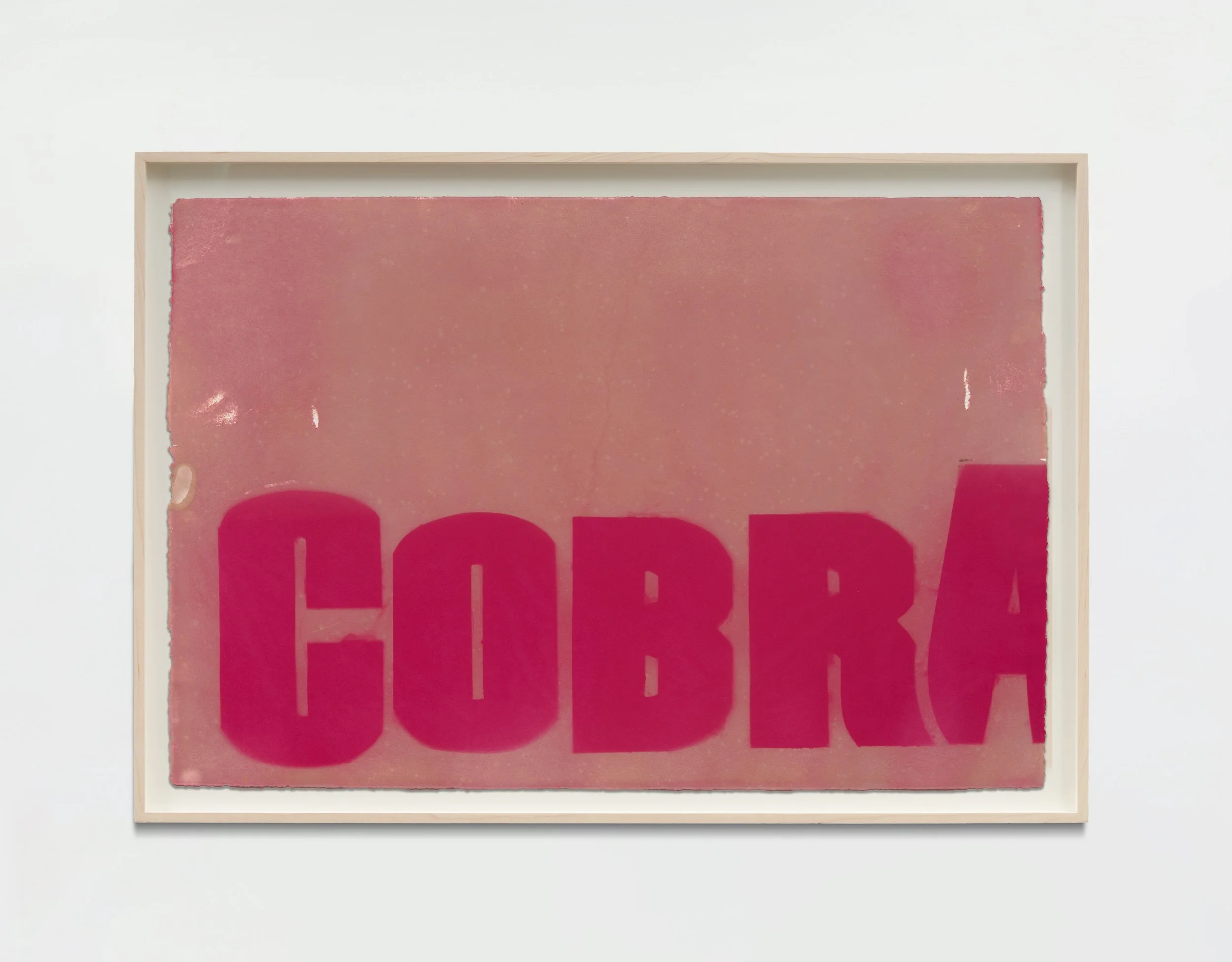 Red Cobra, 2025 Dye on paper, weathered 30 x 44 in (unframed) 76.2 x 111.8 cm (unframed) (NSH25.032)