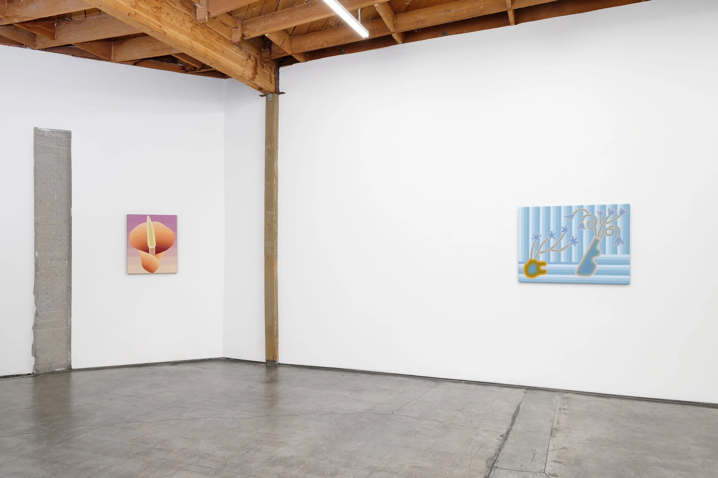 Annie Pendergrast
 Taut 
January 10 – February 14, 2026