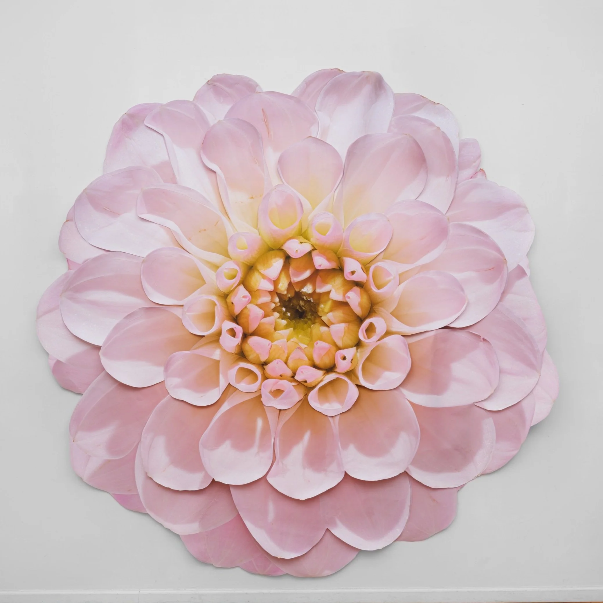 Pink Dahlia , 2023 Pigment print on canvas, acrylic paint, colored pencil, waxed thread 113 1/2 x 114 in 288.3 x 289.6 cm (BLA24.015)