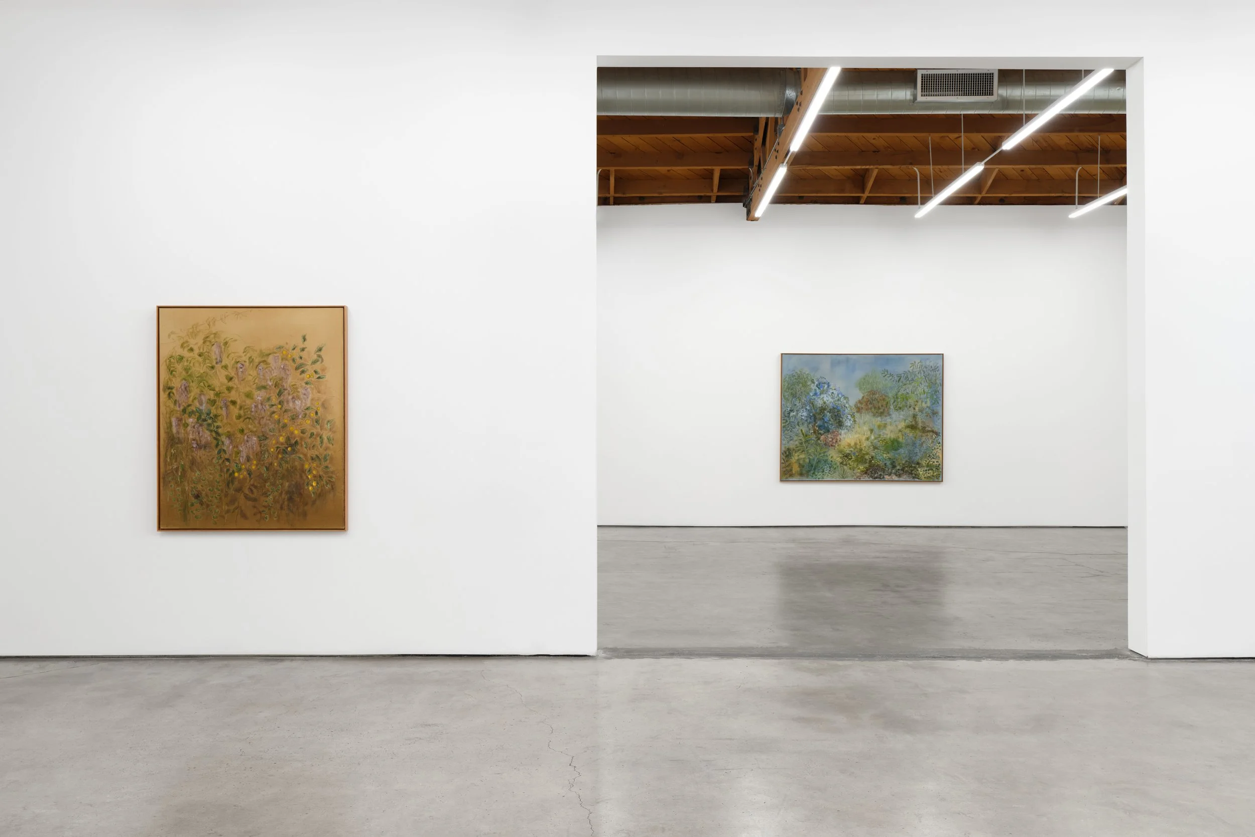 Kate Zimmerman Turpin
 The Light the Ground Gives 
February 24 – March 28, 2026