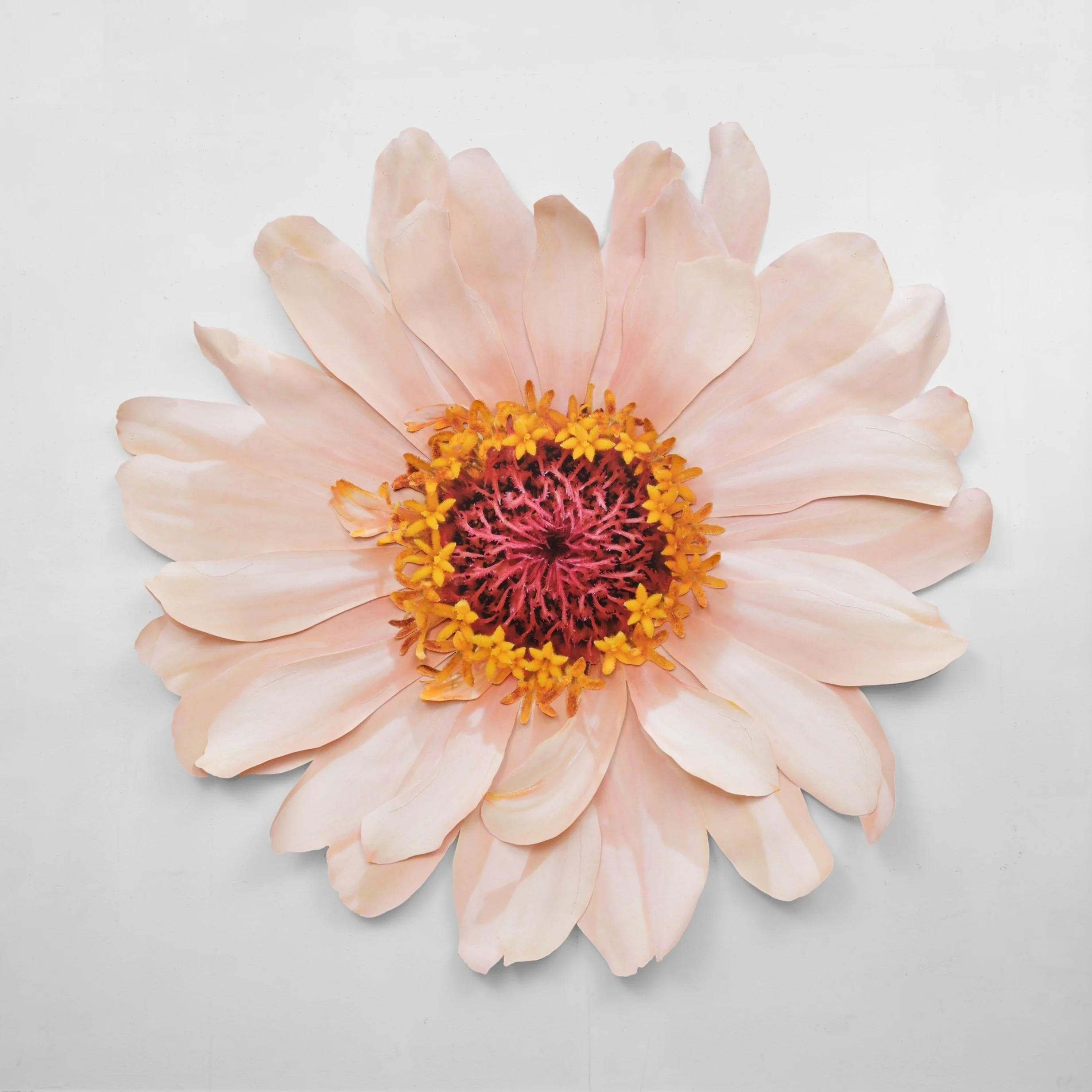 Benjamin Langford Coral Zinnia, 2025 Archival inkjet print on canvas, acrylic, colored pencil, waxed thread 70 x 72 in 177.8 x 182.9 cm (BLA25.005)
