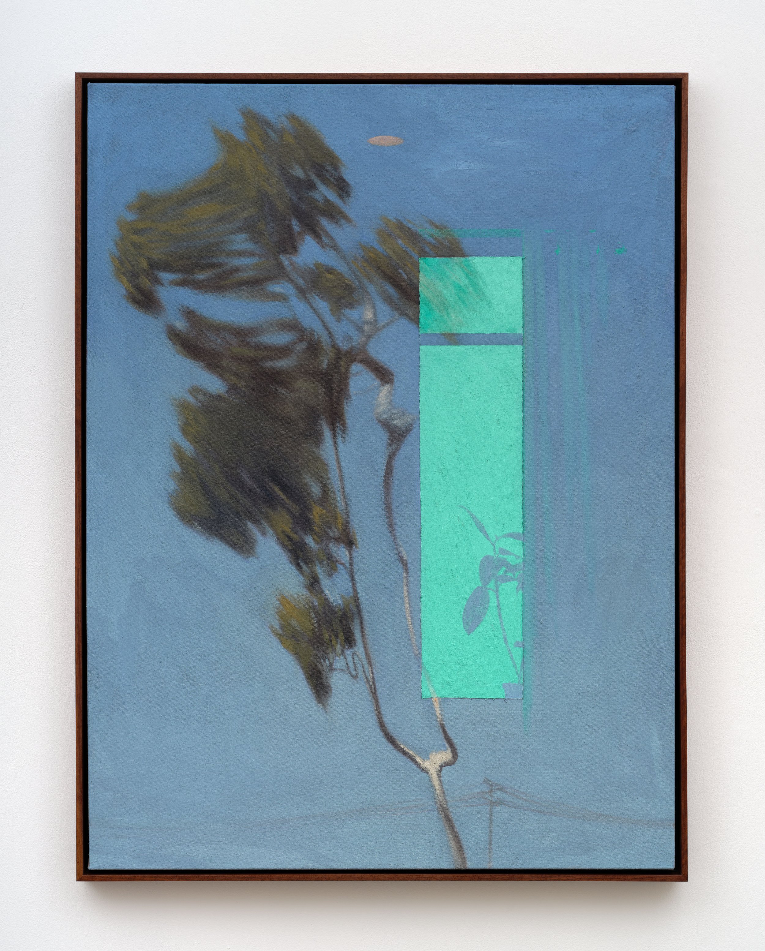Kevin Yaun Laguna Branches, 2026 Oil on canvas 49 x 37 x 2 in 124.5 x 94 x 5.1 cm (KYA26.021)