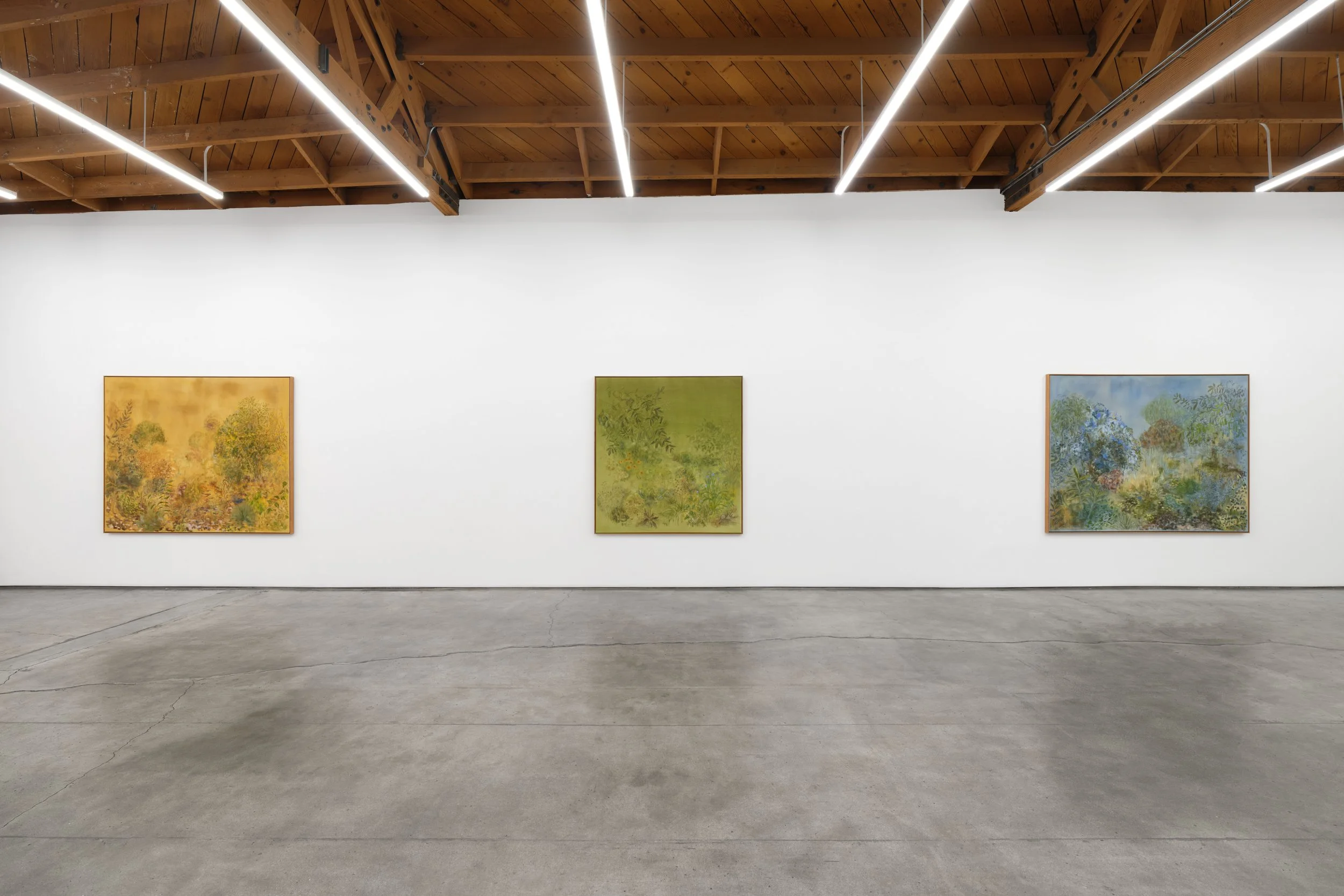 Kate Zimmerman Turpin
 The Light the Ground Gives 
February 24 – March 28, 2026