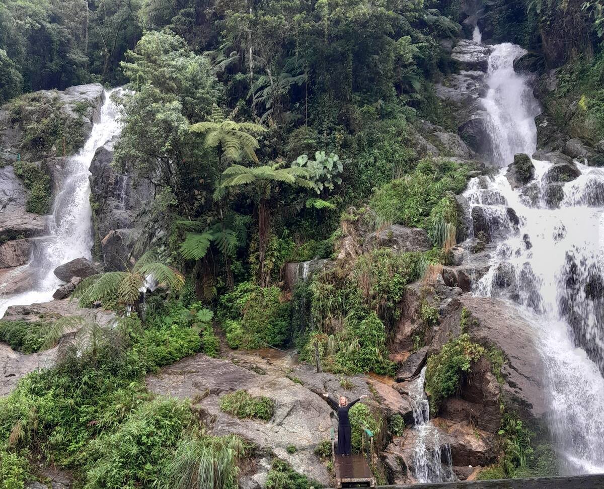A person standing on a rocky surface with arms raised, in front of a lush green forest with waterfalls cascading down rocks.