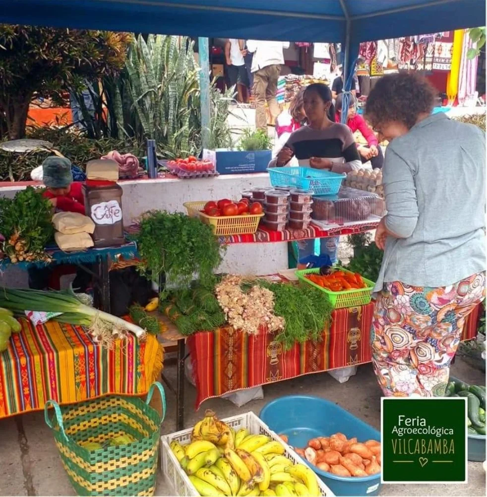 An outdoor farmers market stall with fresh vegetables, fruits, and homemade food. There are bananas, onions, tomatoes, herbs, eggs, and baked goods on display. People are shopping and browsing the produce. A sign reads 'Feria Agroecológica Vilcabamba'.