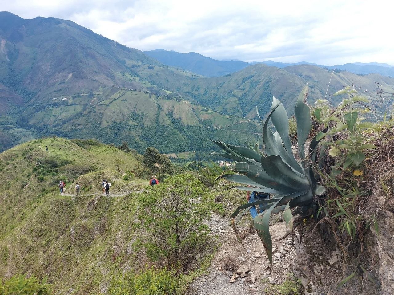 Hikers walking on a mountain trail with green hills and mountains in the background, and large succulent plants in the foreground.