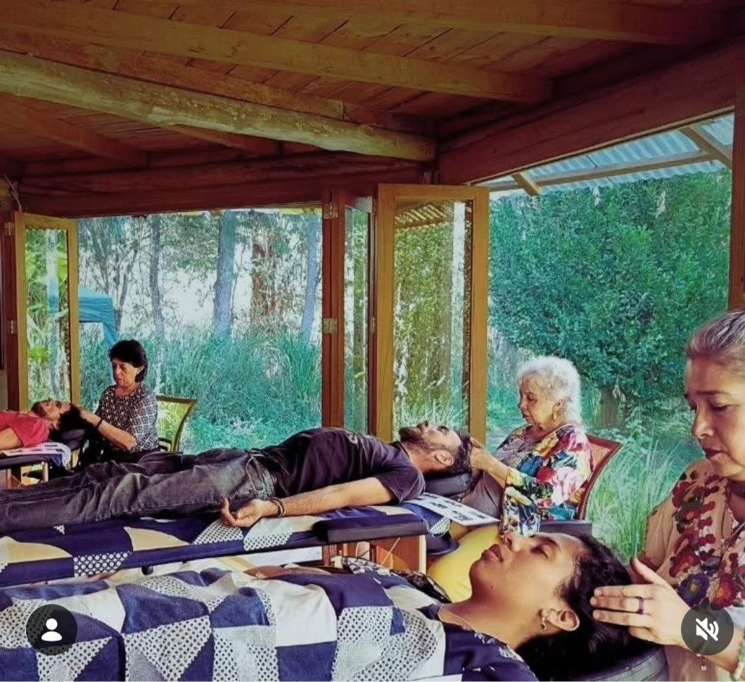 People participating in a Reiki healing session in a peaceful room with open windows and a lush green outdoor view.