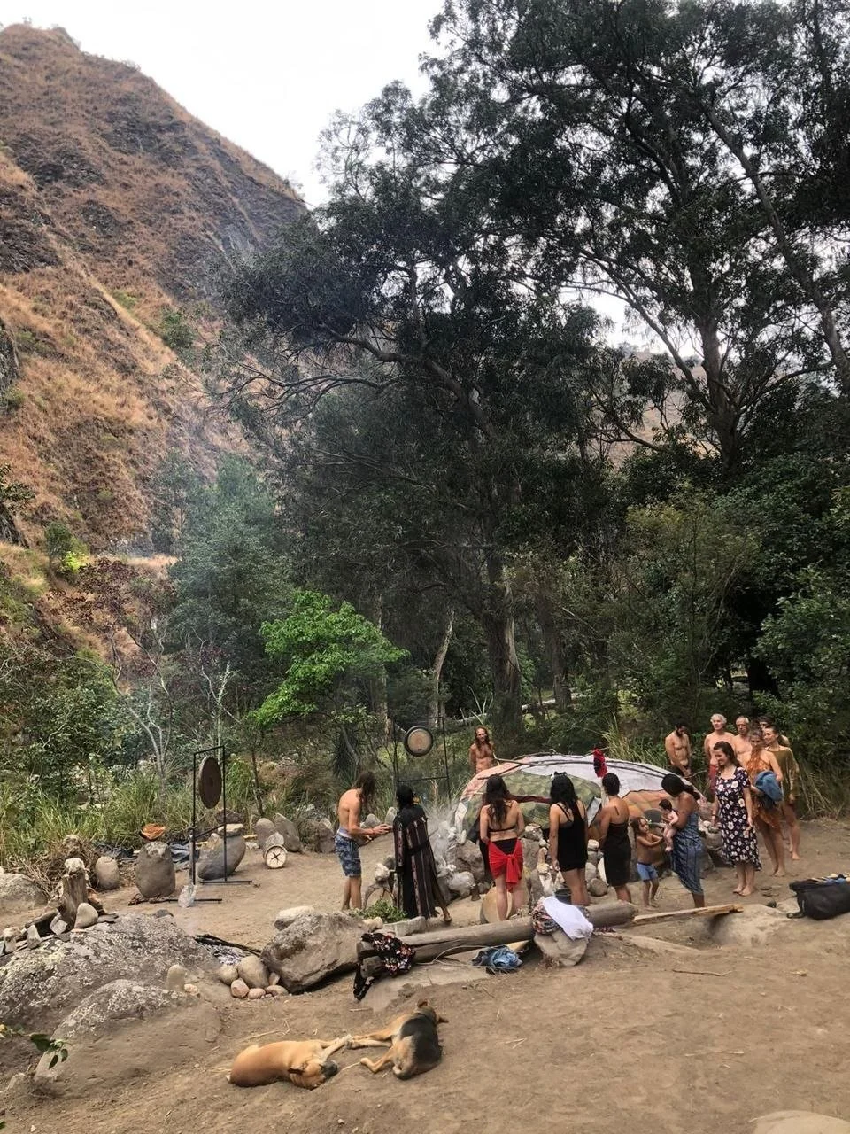 People gathered outdoors in a forested area, participating in a drumming or cultural activity. Some are playing drums, others are watching or participating, with a few dogs resting on the ground nearby. The setting includes large trees, rocks, and mountain terrain.
