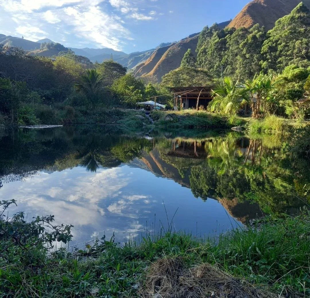 Calm river surrounded by lush green trees and mountains with a clear sky reflecting in the water.