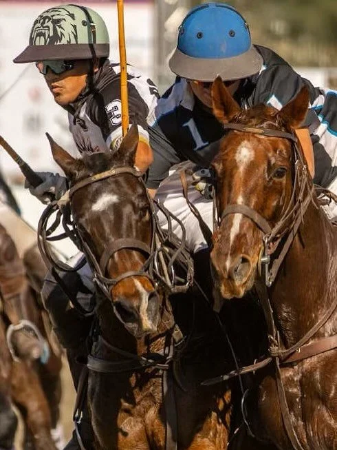🏇 Team sign-ups are LIVE for the U.S. Arena Open Polo Championship &ndash; Dec 9&ndash;13 in Los Angeles!

Each entry includes custom team jerseys 🎽 &mdash; but we need your team deposit to lock in your slot and finalize your colors!

✅ Team entry 