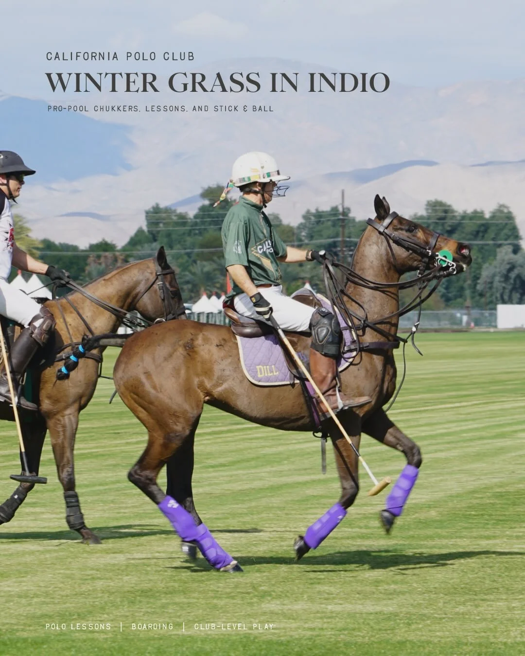 Our winter trips to Indio are the perfect opportunity for CPC members to experience the thrill of grass polo in one of the world&rsquo;s premier polo destinations.

From Pro-Pool chukkers to focused Stick &amp; Ball sessions, our winter program is de
