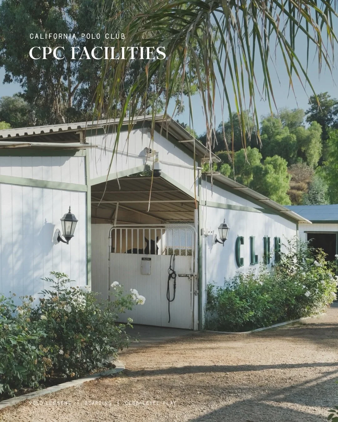 Welcome to the Home of Polo in Los Angeles. 🐎✨

CPC is the finest polo club in Los Angeles. Our facilities are designed to support every level of play, from your very first lesson to high-intensity club matches.

Swipe through for a tour of our grou