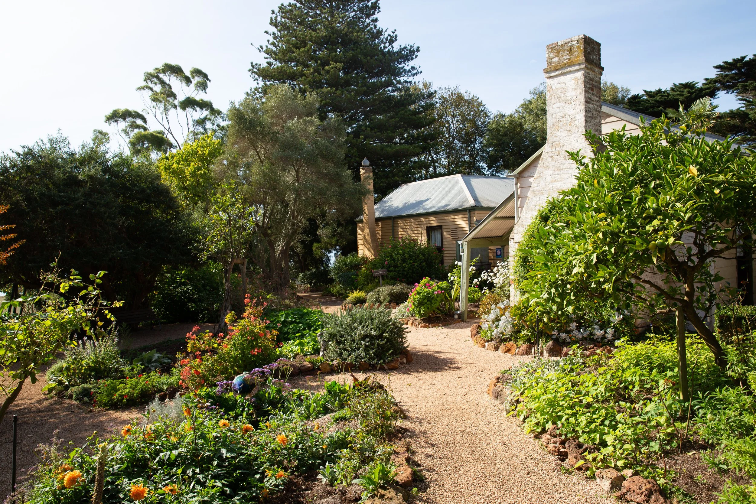l - churchill rogers garden.jpg