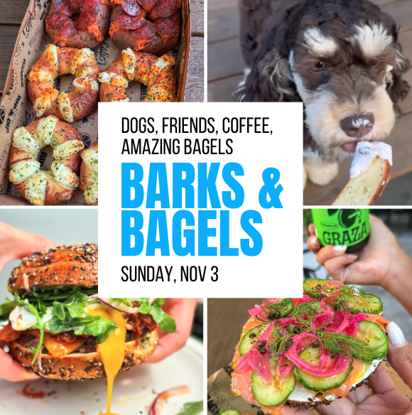 Screen Shot 2025-03-01 at 3.50.52 PM.png