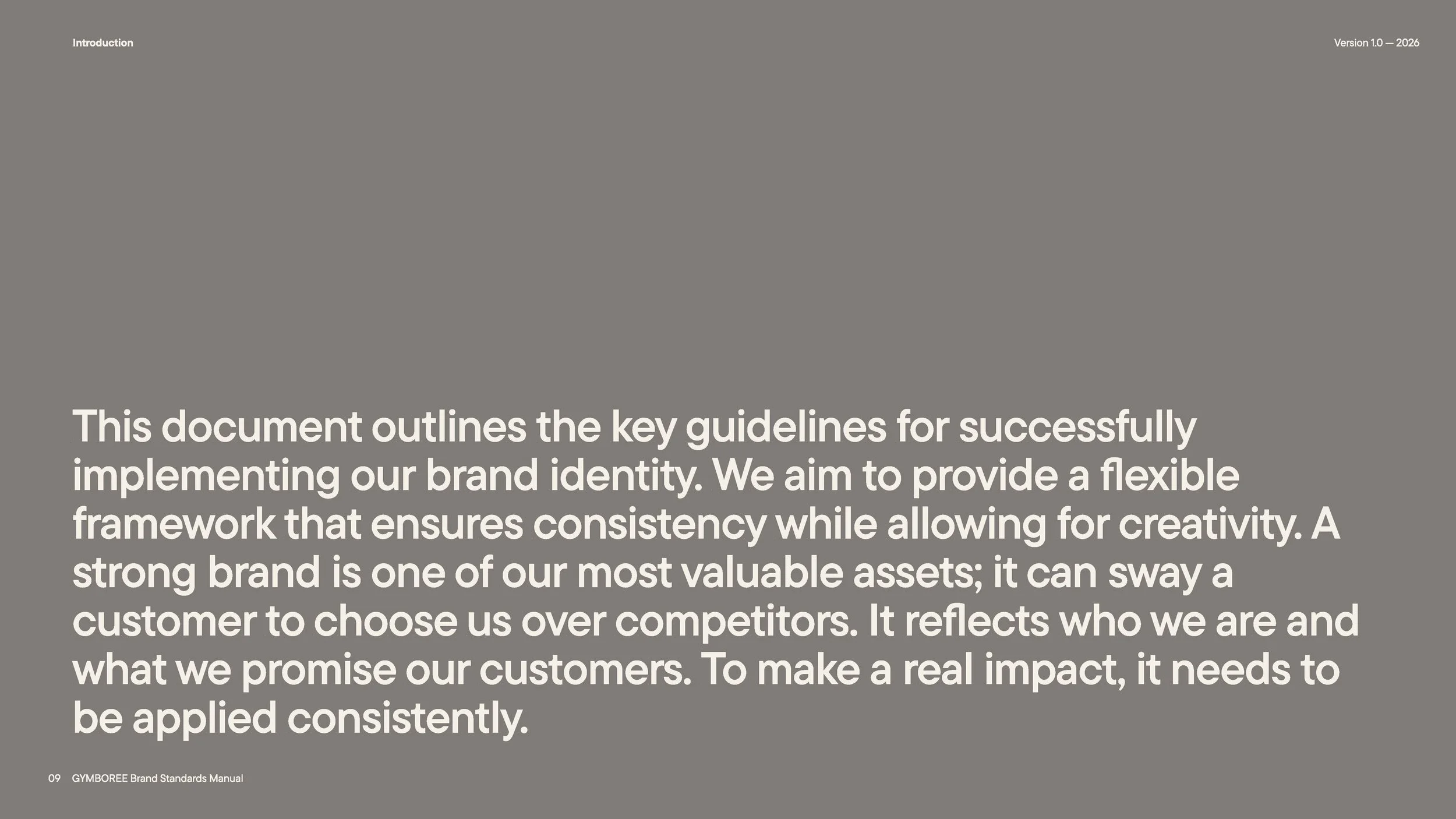 Brand Guidelines - GYMBOREE_Page_03.jpg