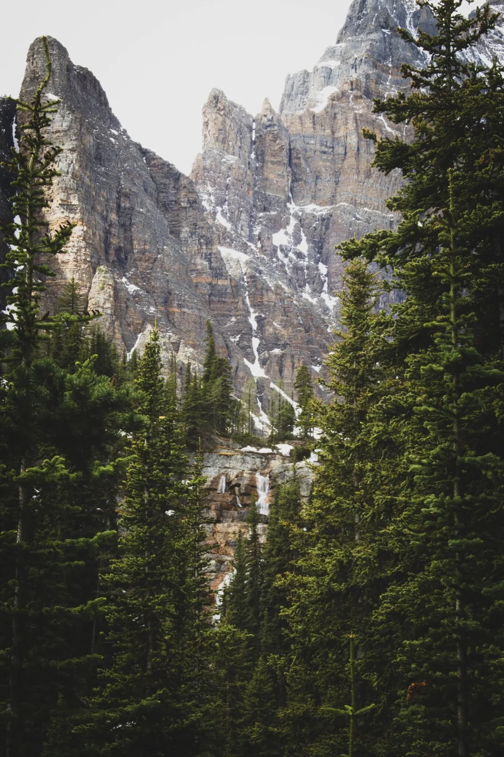 ryan-stone-3-Pf245rtFc-unsplash-1365x2048.jpeg