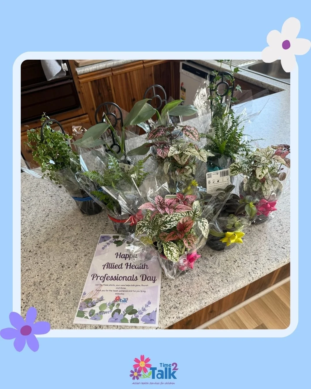 Allied Health Professionals Day was a couple of weeks ago and Lynne (big boss) bought everyone at T2T a plant to thank them for all their hard work, but to also start a competition on who can keep theirs alive the longest - watch this space to see wh