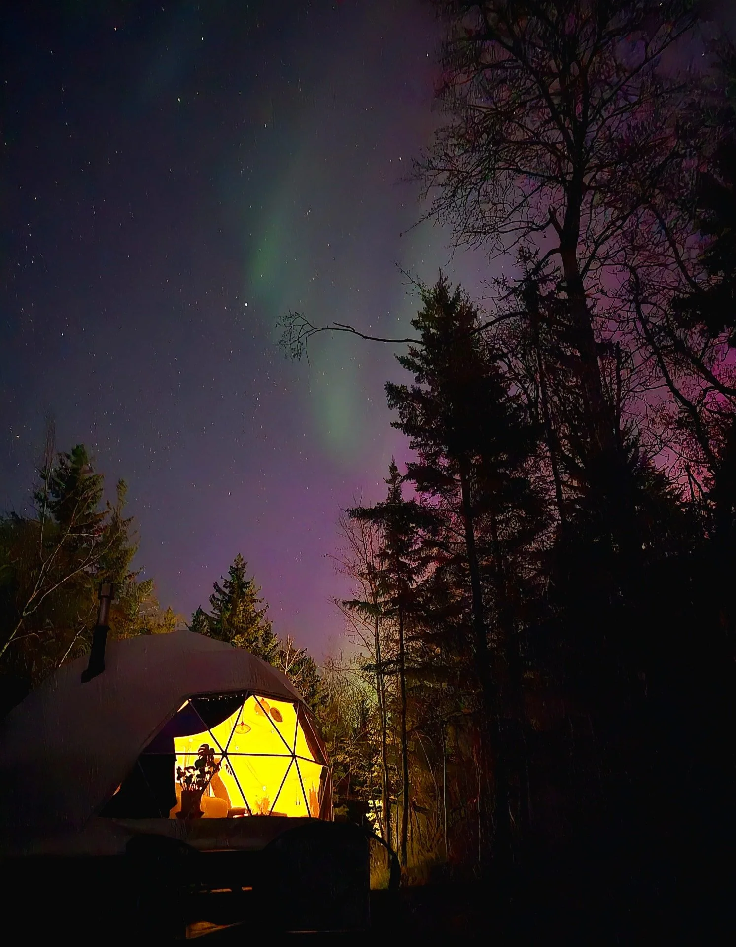 A geodome warmly lit from within sits beneath a radiant sky filled with the Northern Lights. Green and purple hues blend with dark tree silhouettes, creating a cozy, mystical retreat atmosphere.