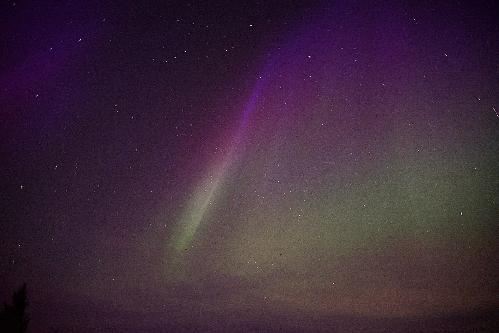 Northern Lights paint the starry sky with shimmering green and purple hues. The serene forest below enhances the mystical beauty of this enchanting nighttime scene.