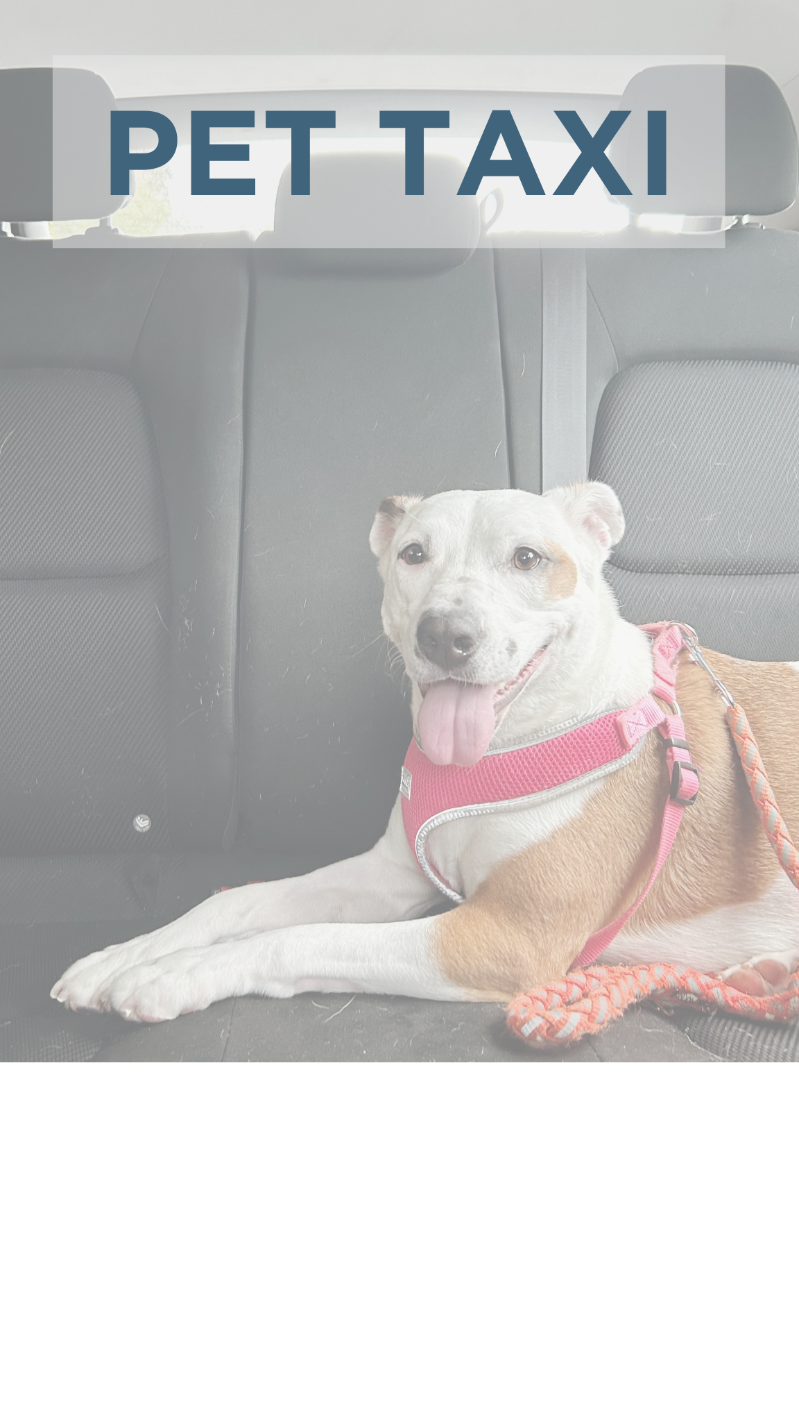 Copy of AD PICS ALL SIZES (1).png