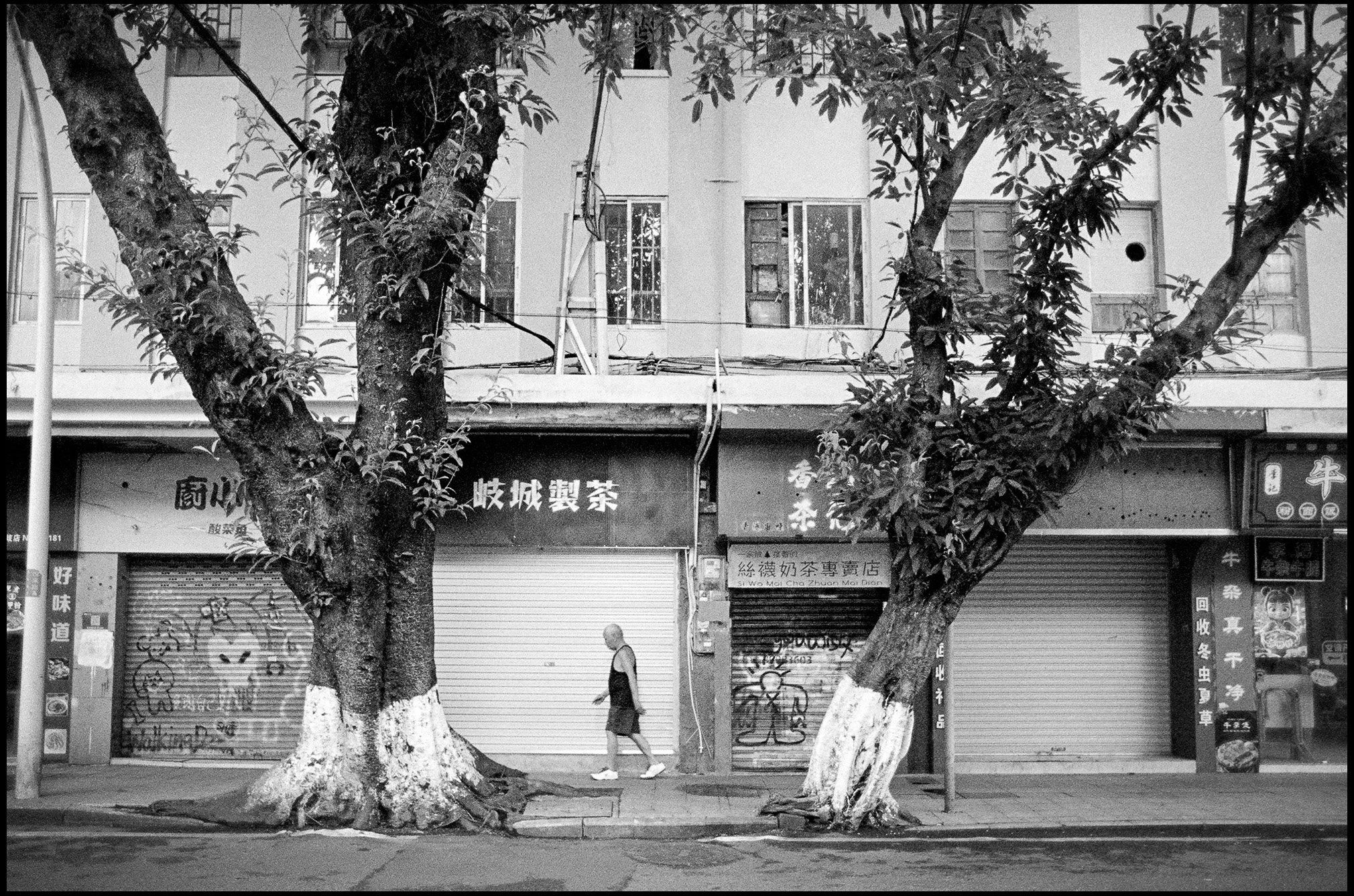 Morning Walk, Guangdong Province, China 2025