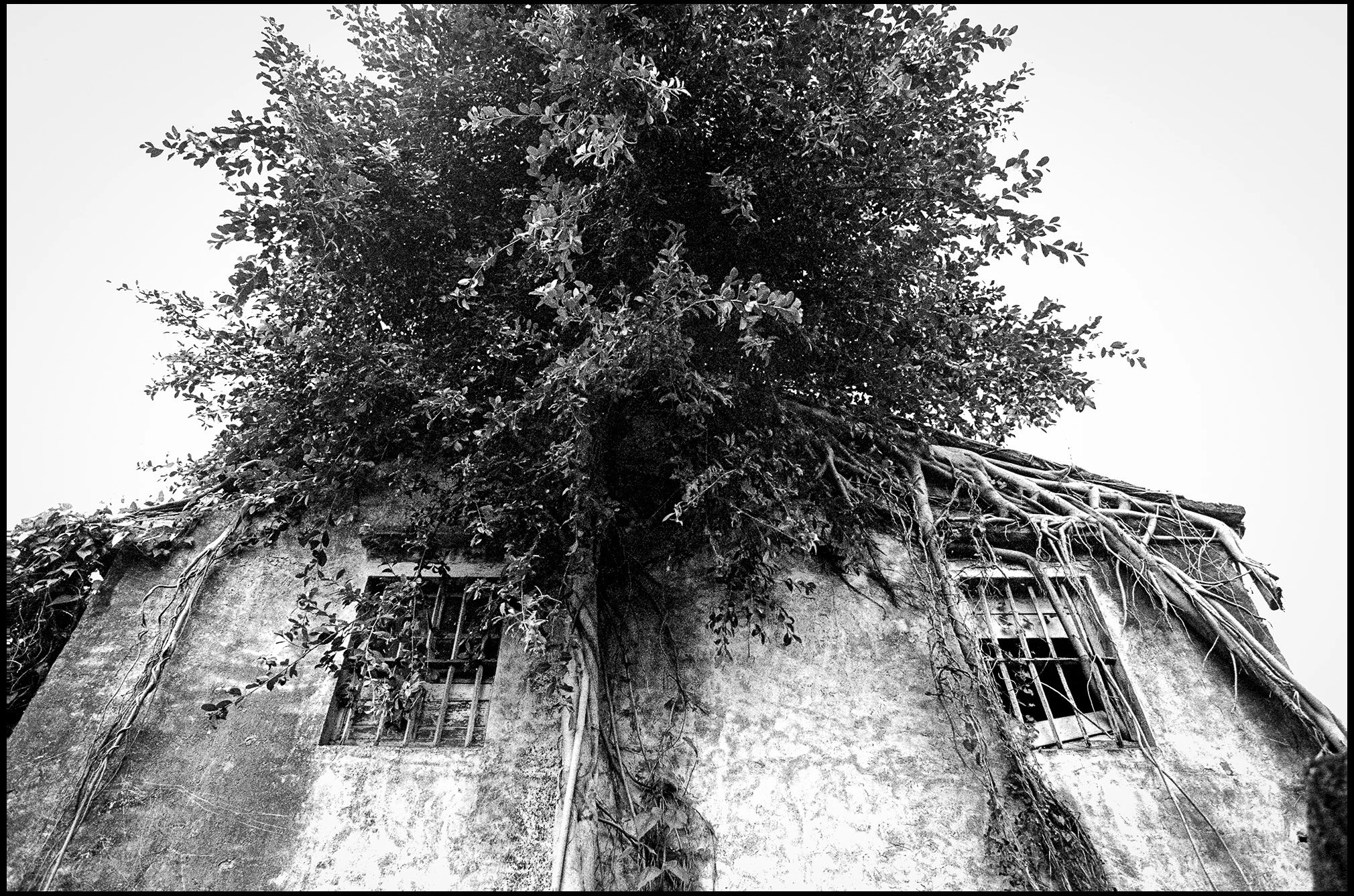 House with Hair, Guangdong Province, China 2025