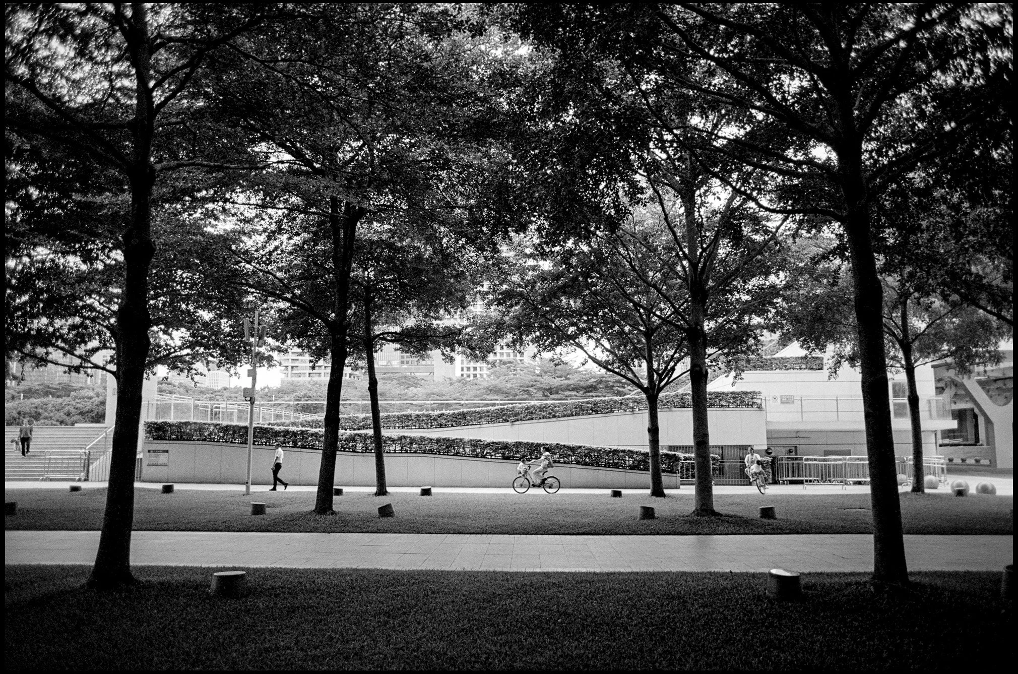 Urban Forest & Bicycles, Shenzhen, China 2025
