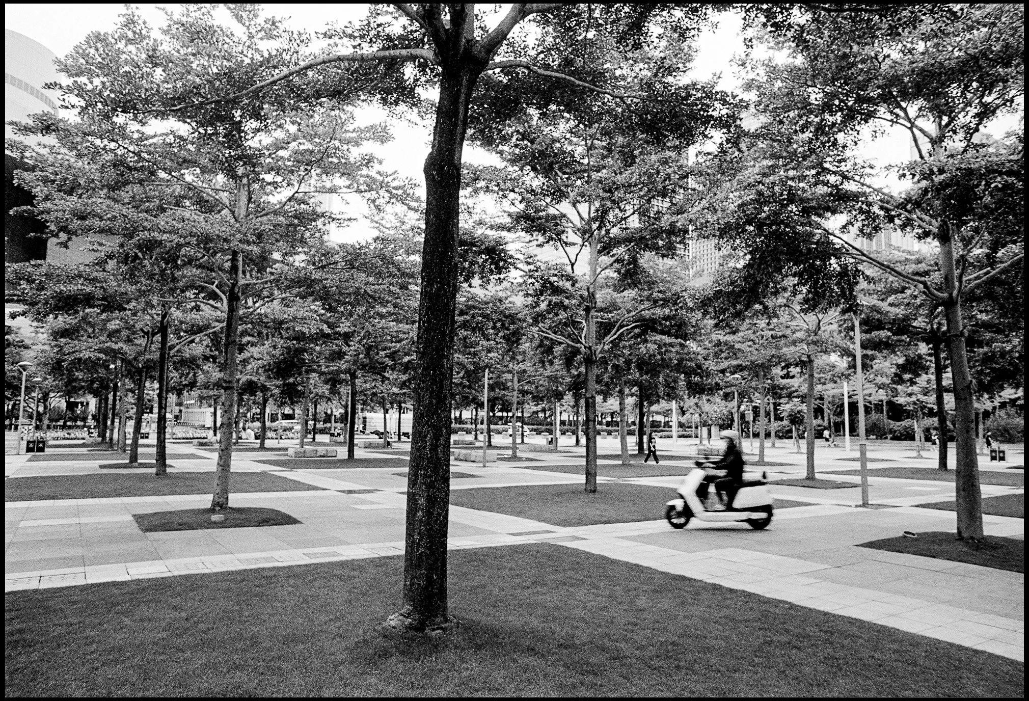 Urban Park, Shenzhen, China 2025