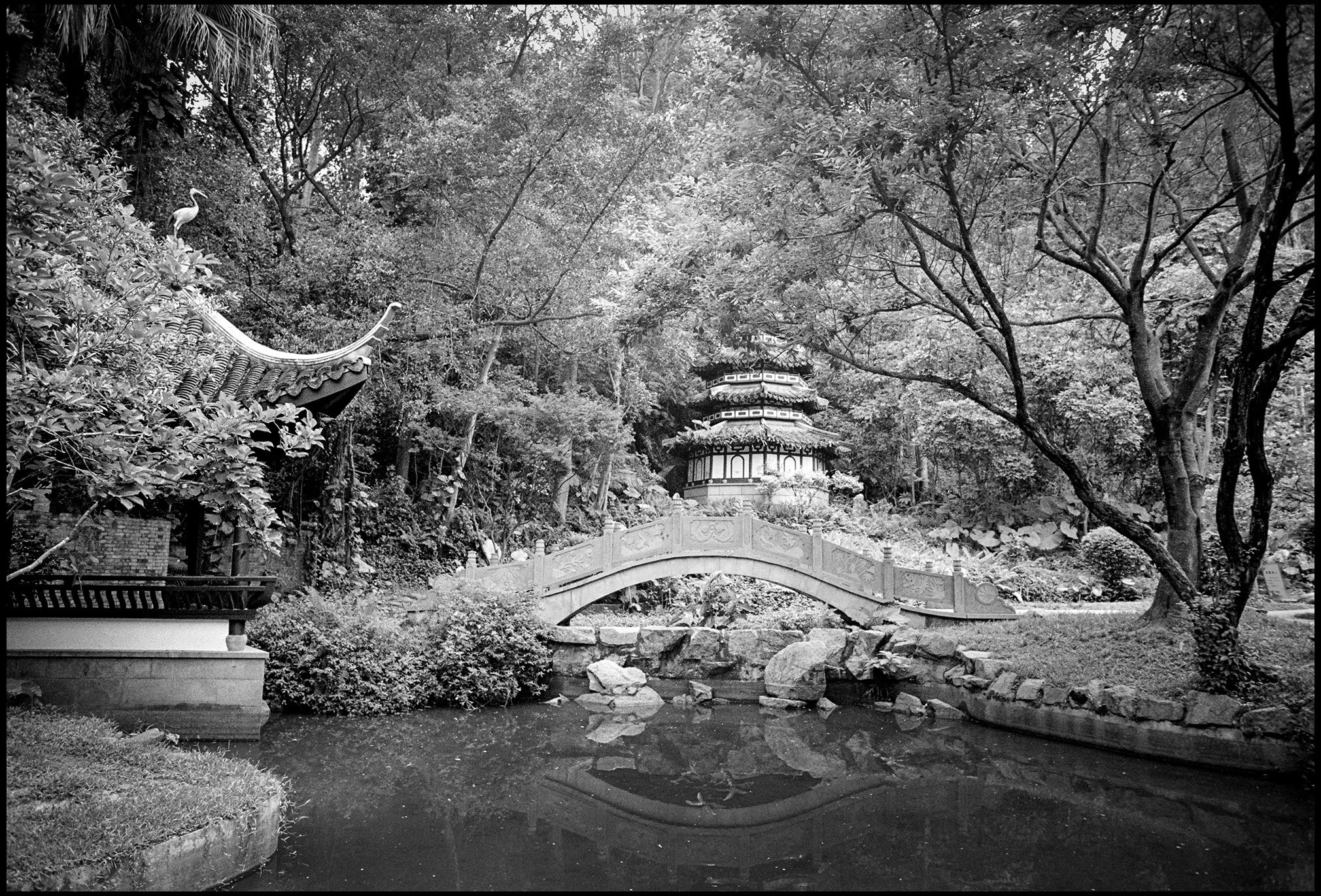 Park Bridge & Pagoda, Shenzhen, Guangdong Province, China 2025