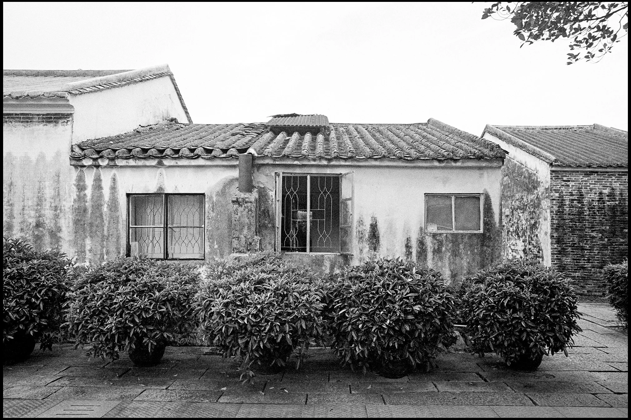 Modest Home, Guangdong Province, China 2025