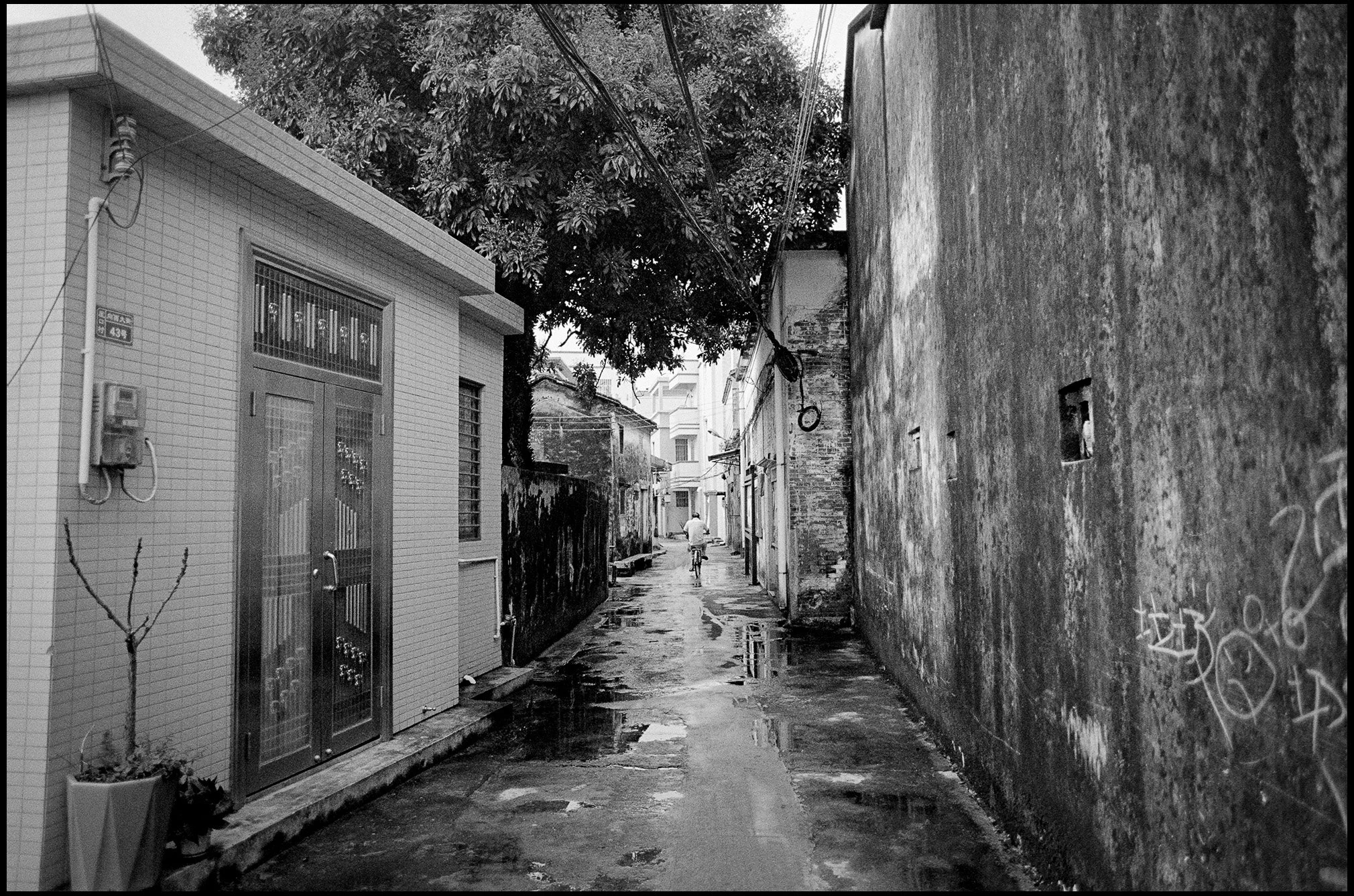  After the Rain, Guangdong Province, China 2025